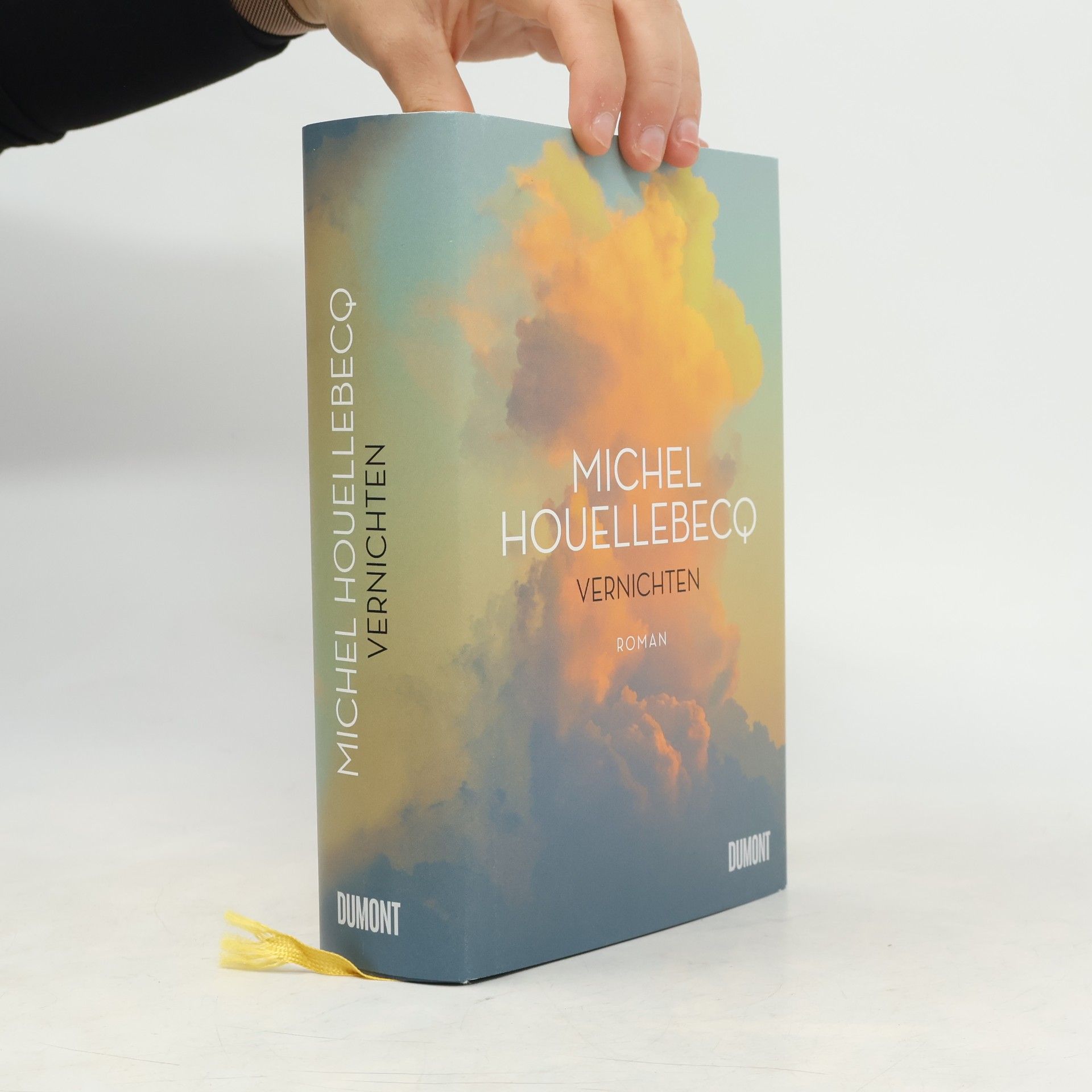 Michel Houellebecq Vernichten