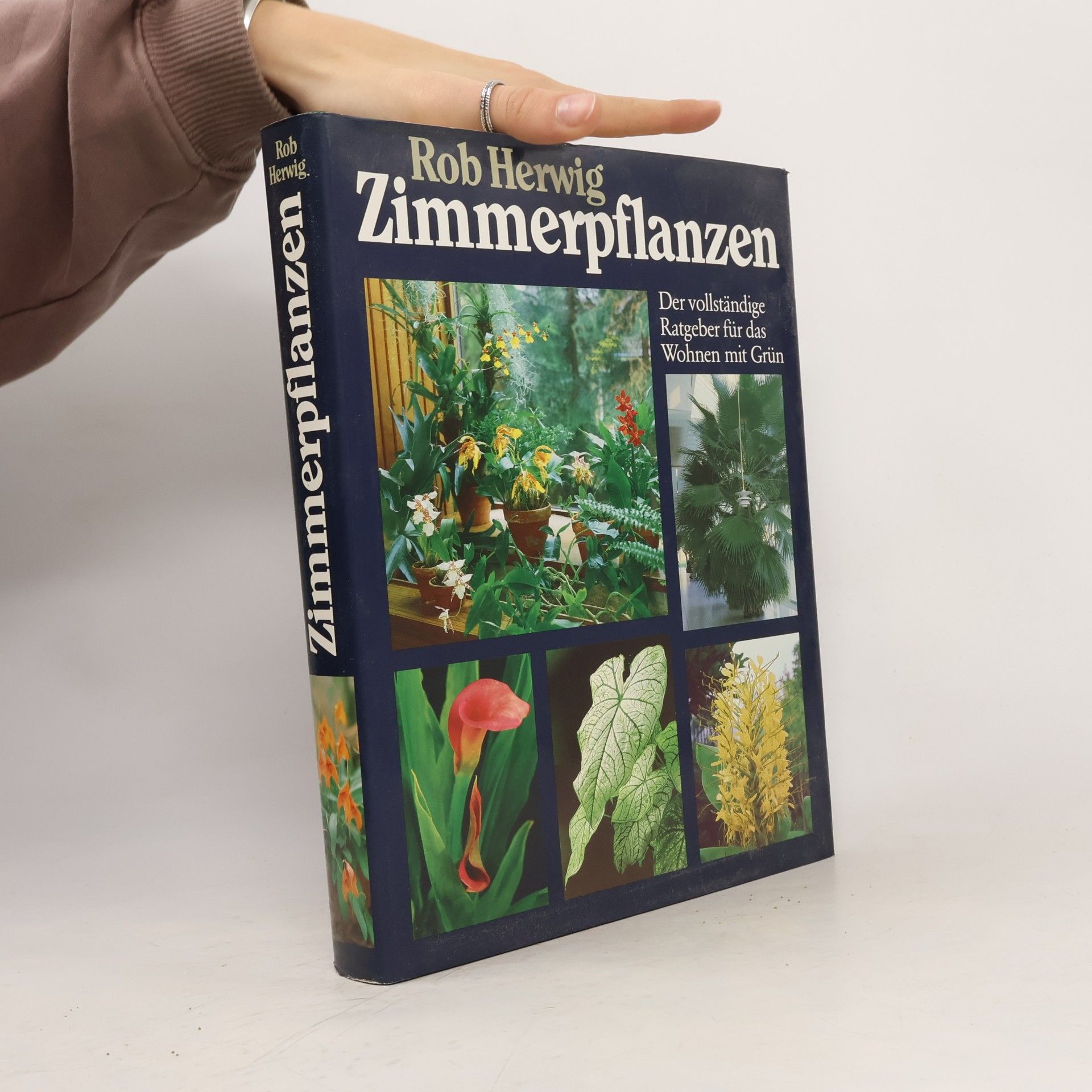 Rob Hewig Zimmerpflanzen