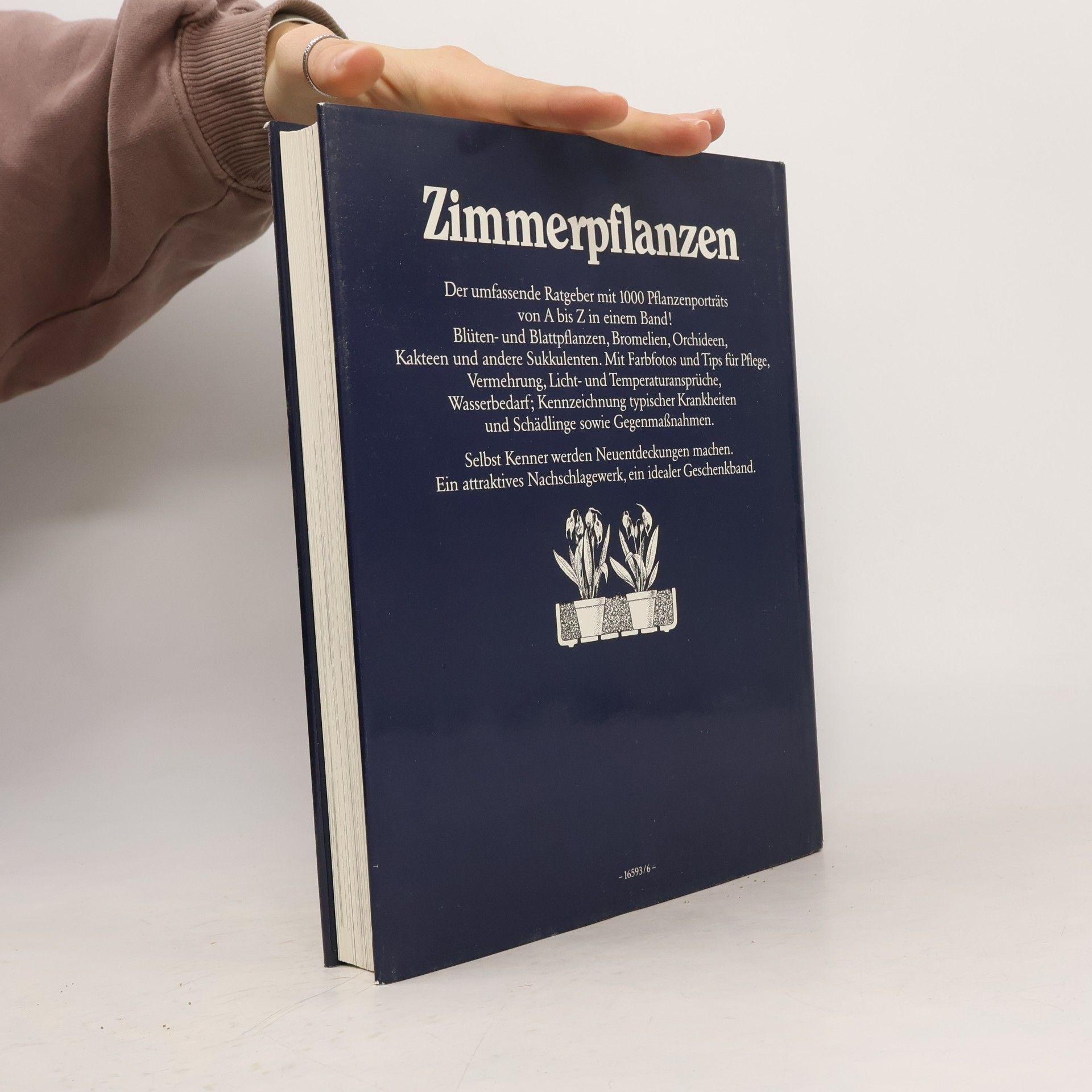 Rob Herwig Zimmerpflanzen