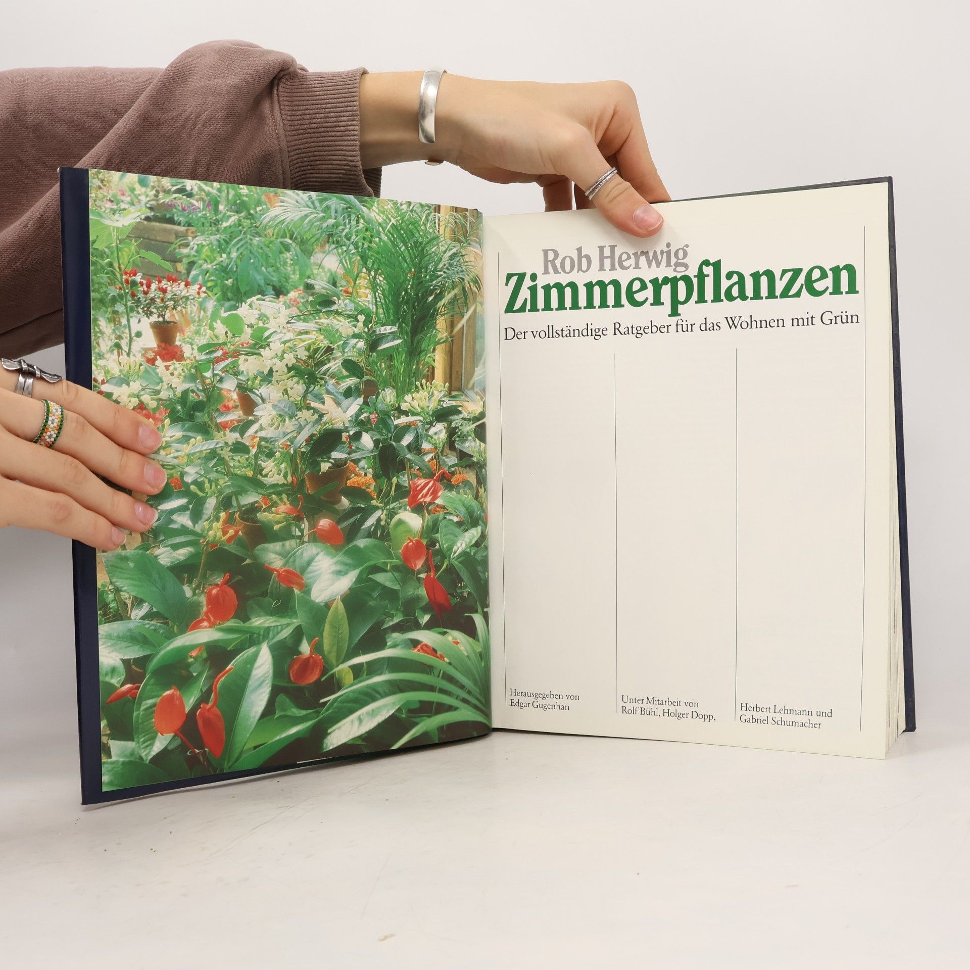 Rob Herwig Zimmerpflanzen