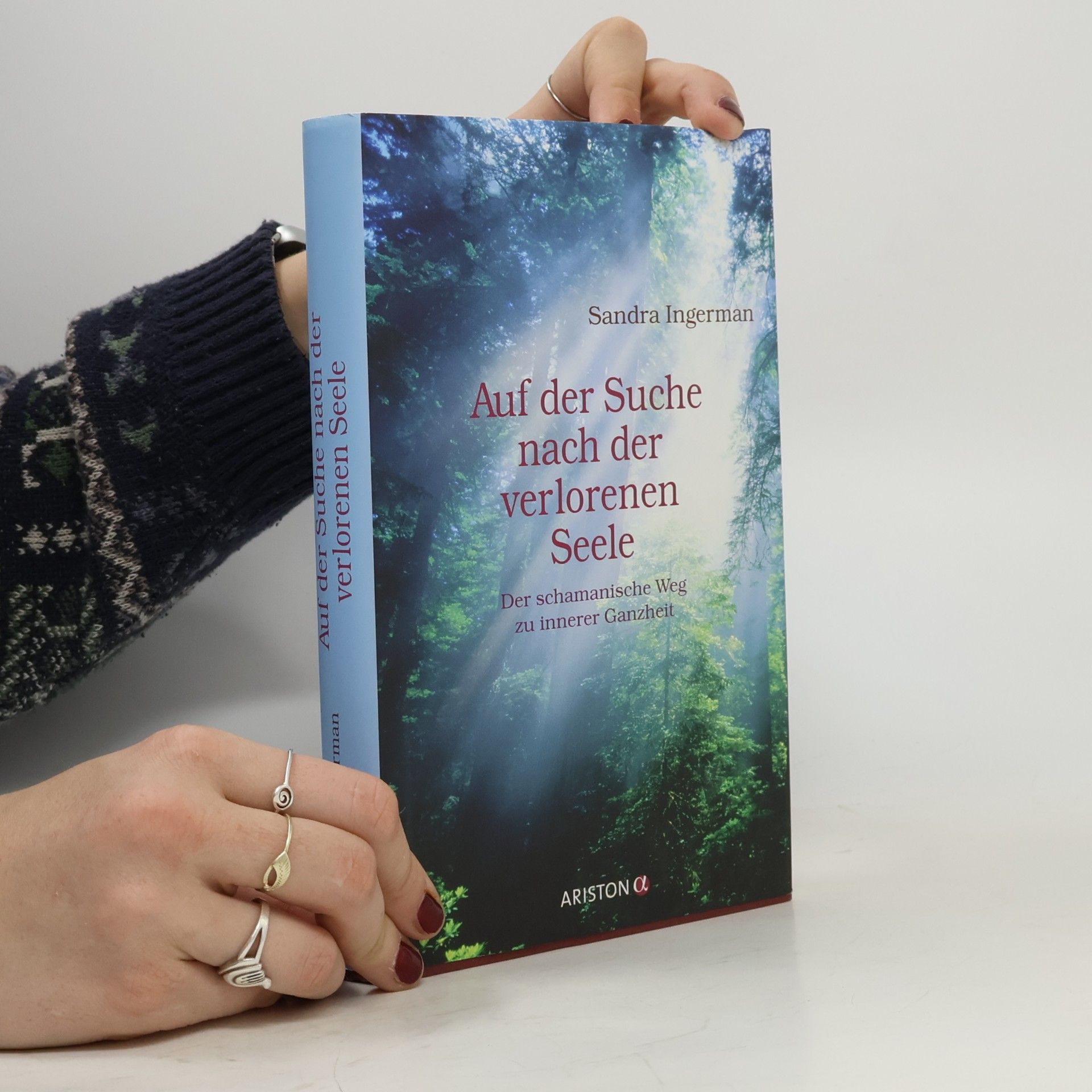 Sandra Ingerman Auf der Suche nach der verlorenen Seele