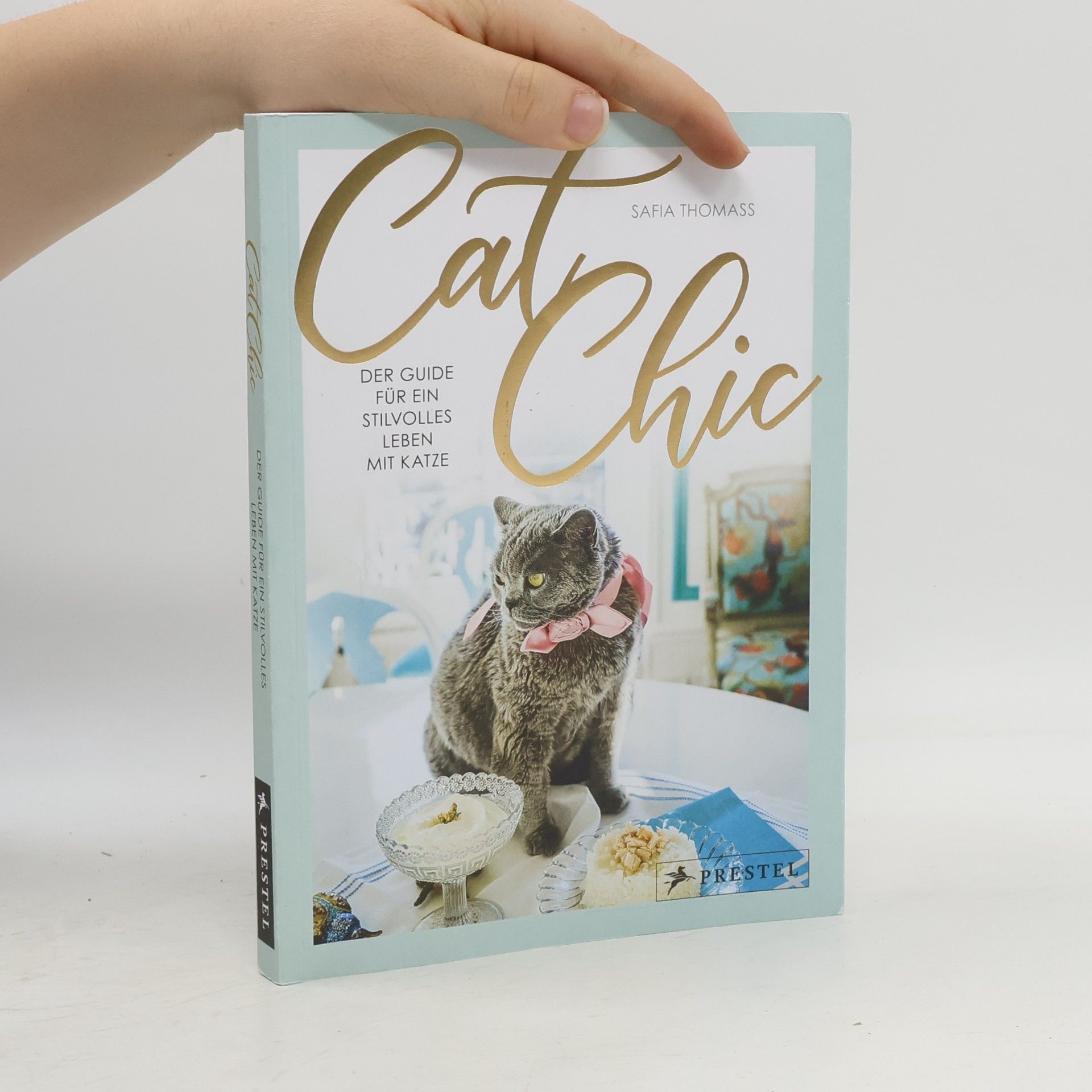 Cat Chic