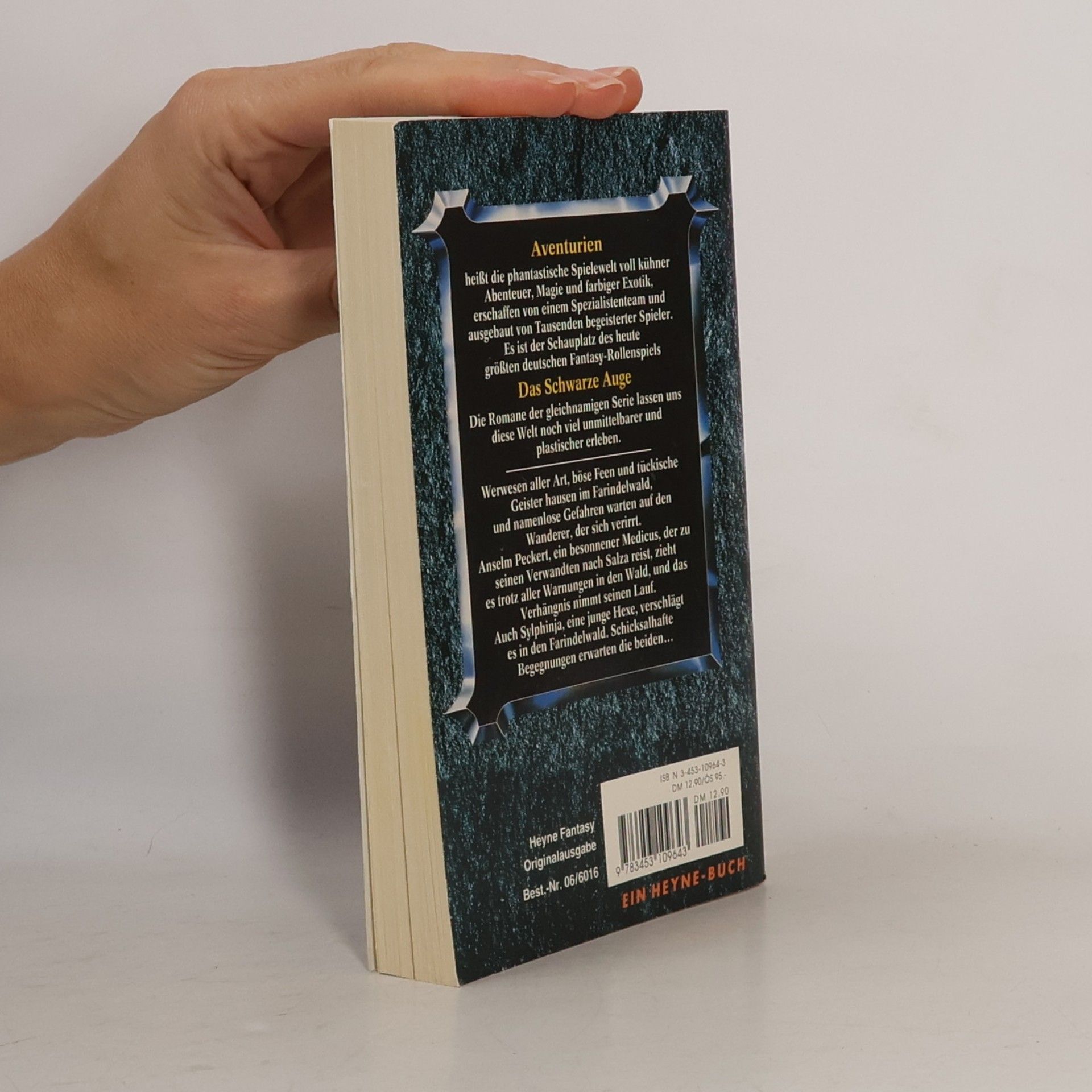 Ina Kramer Das Schwarze Auge. Im Farindelwald. Die Reise nach Salza 1. Sechzehnter Roman aus der aventurischen Spielewelt