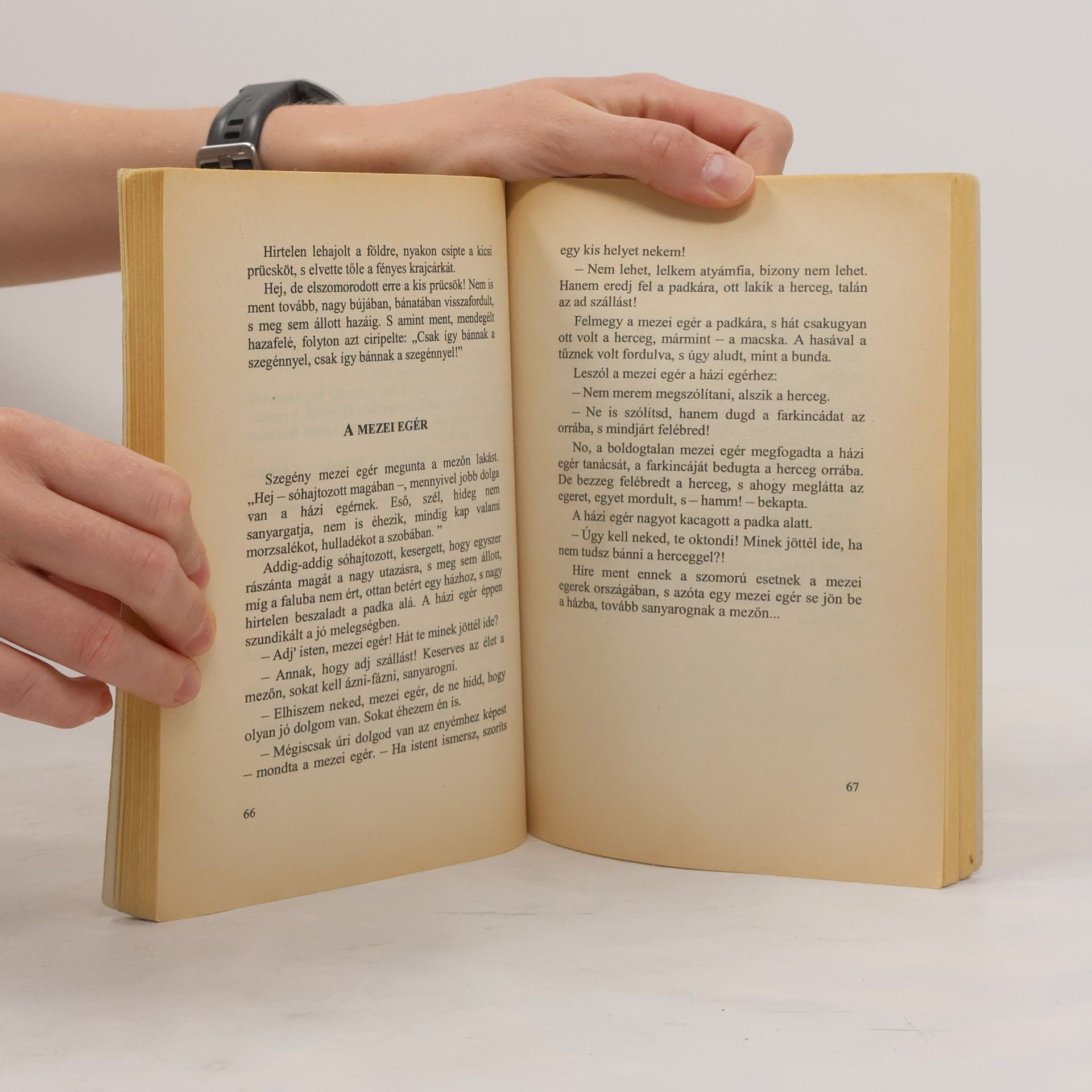 Various authors Állatmesék