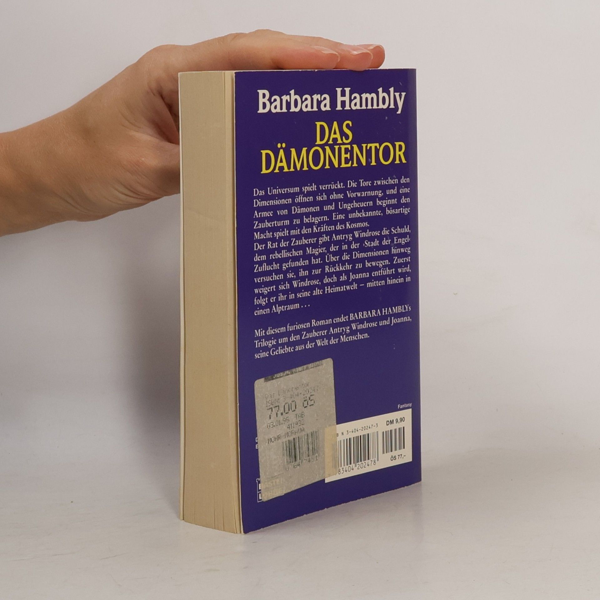 Barbara Hambly Das Dämonen Tor