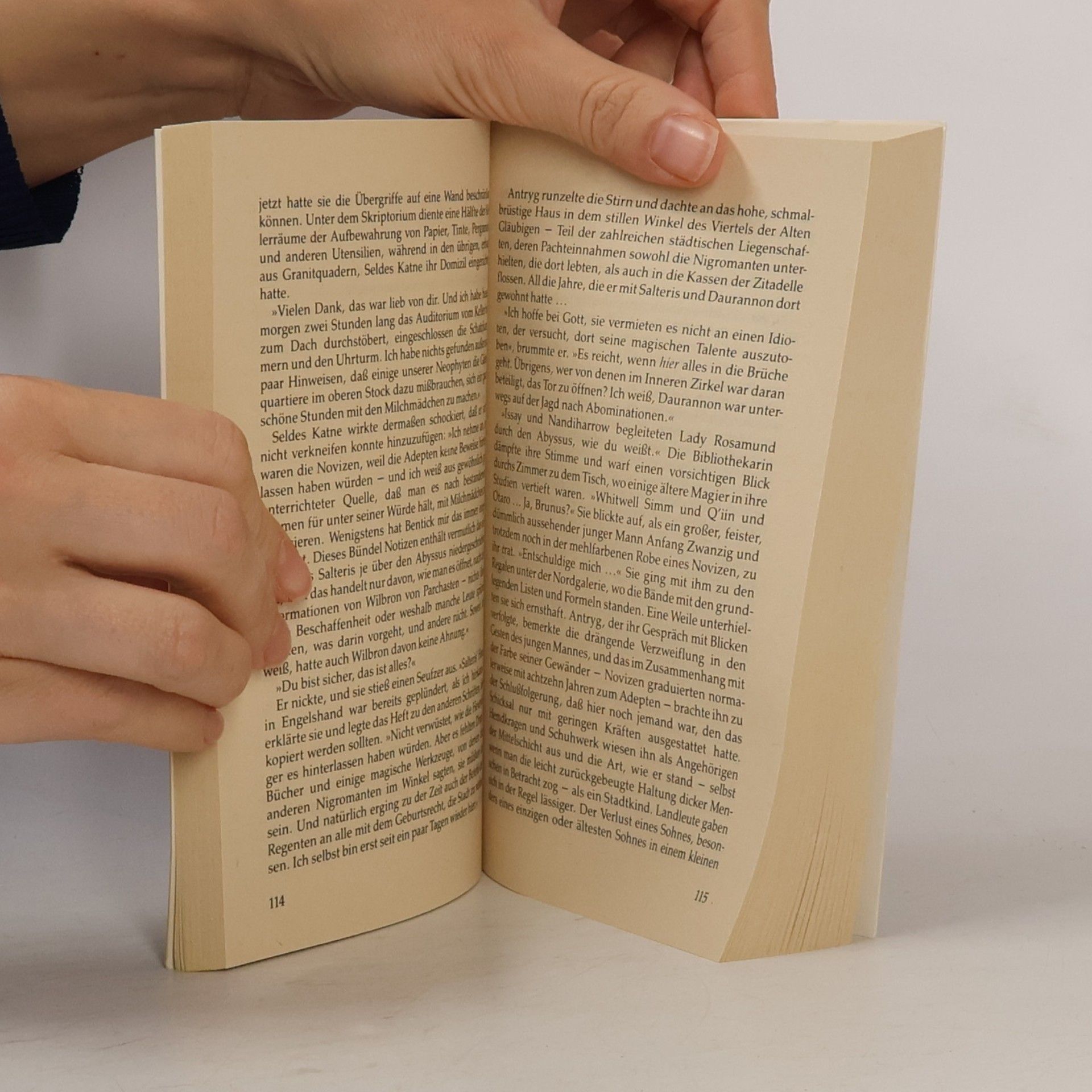 Barbara Hambly Das Dämonen Tor