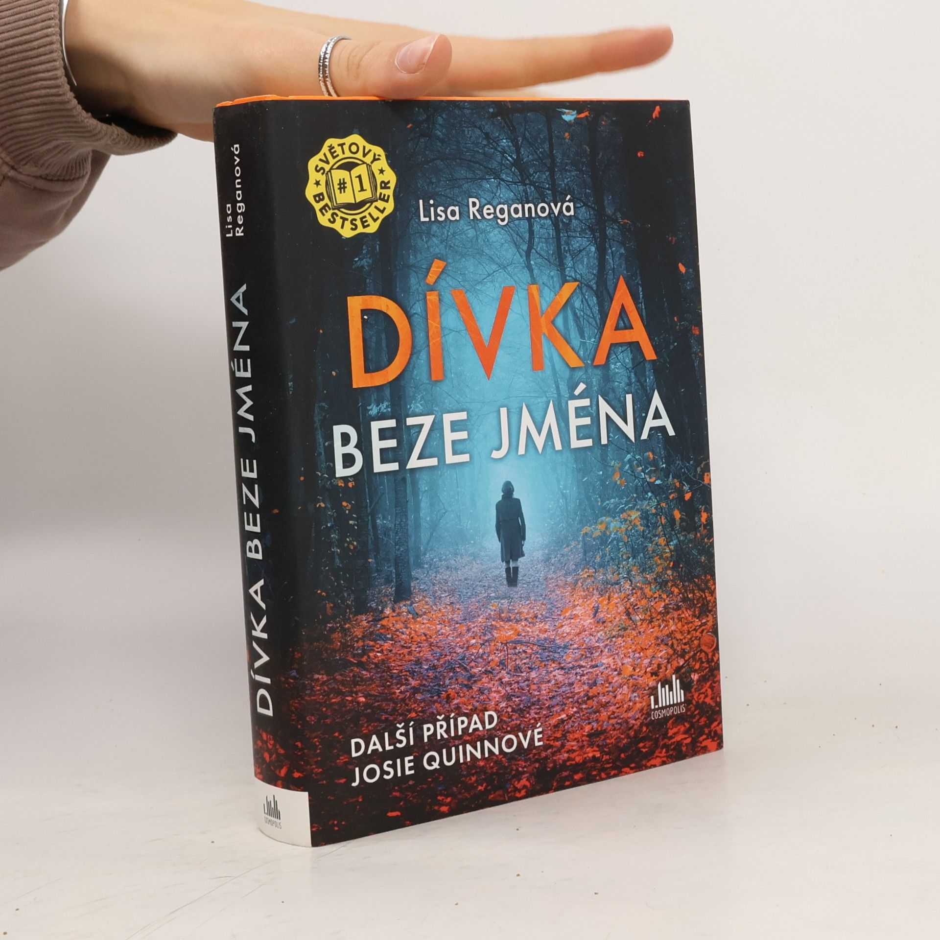 Lisa Regan Dívka beze jména: Další případ Josie Quinnové