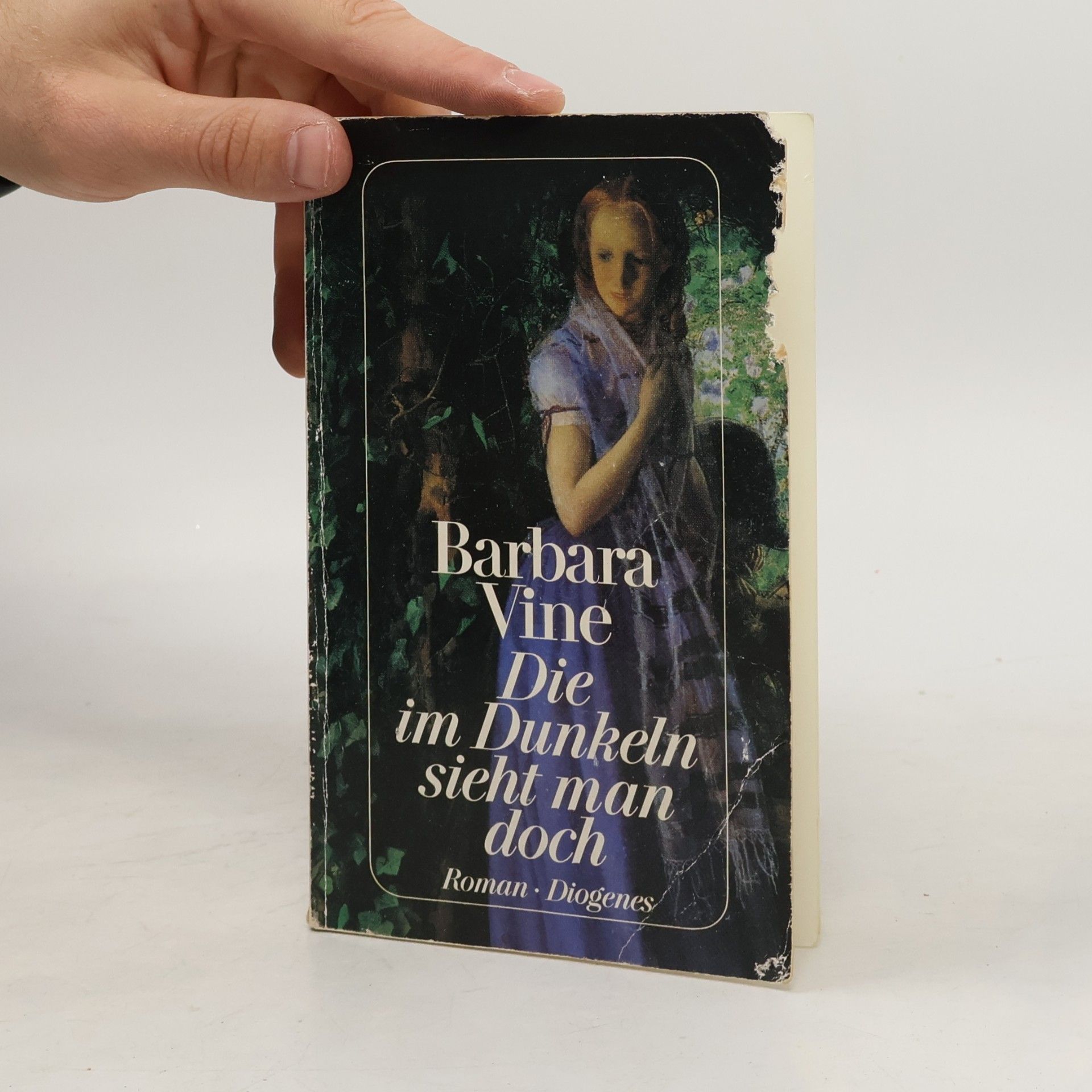 Ruth Rendell Die im Dunkeln sieht man doch