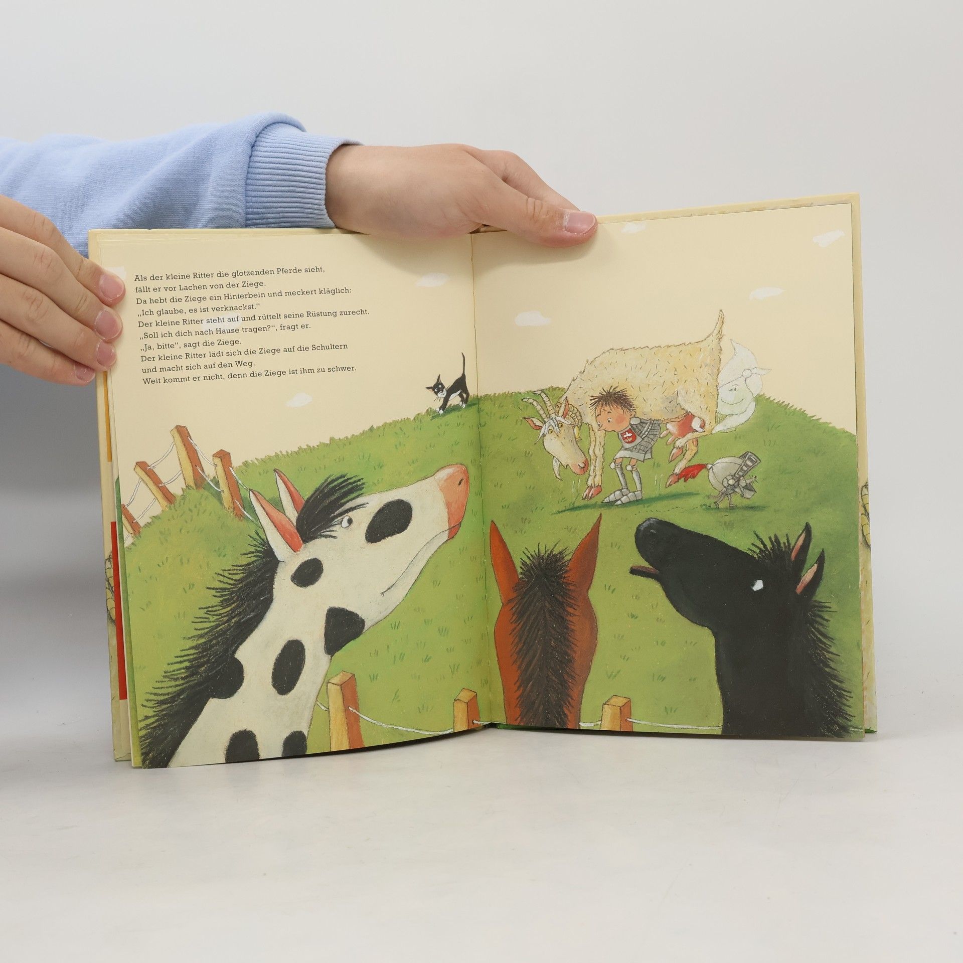 Daniela Römer Der kleine Ritter