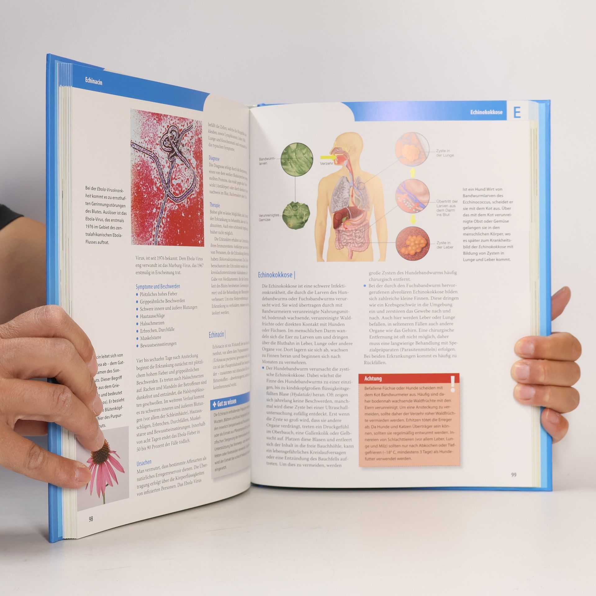 Gisela Hommes Reader's-Digest-Lexikon Medizin und Gesundheit