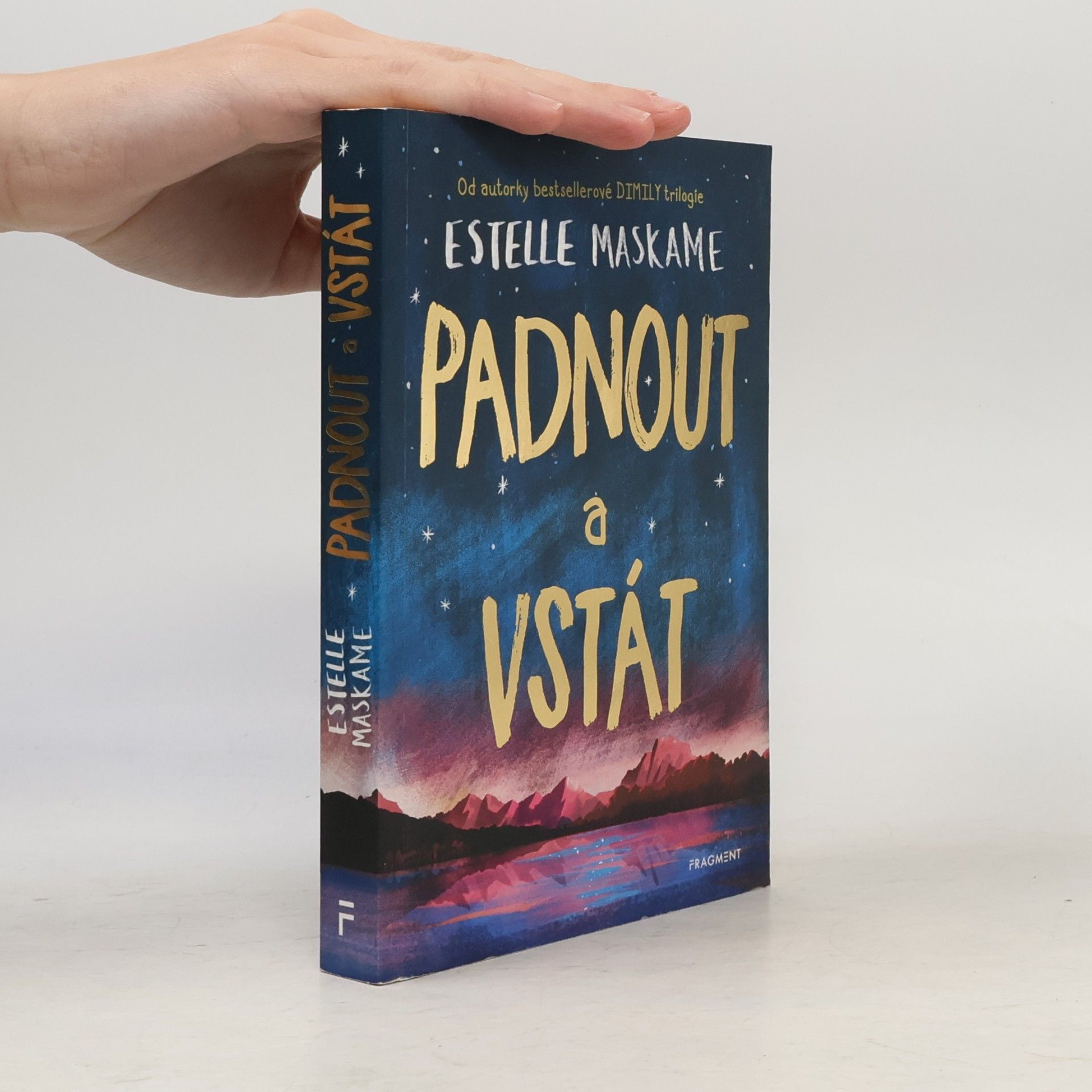 Estelle Maskame Padnout a vstát