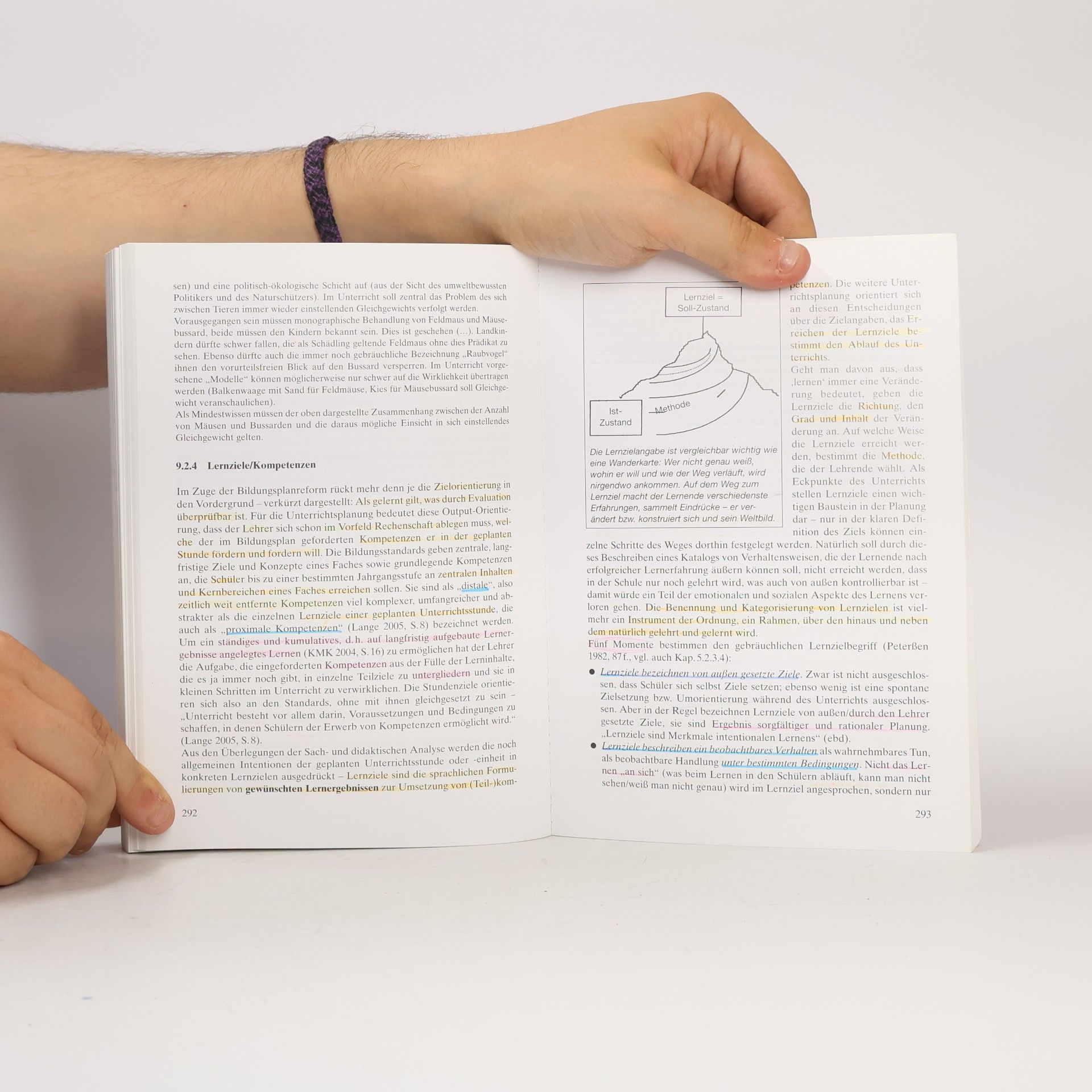Gernot Gonschorek Einführung in die Schulpädagogik und die Unterrichtsplanung: Erweiterte Ausgabe (Alle Klassenstufen)