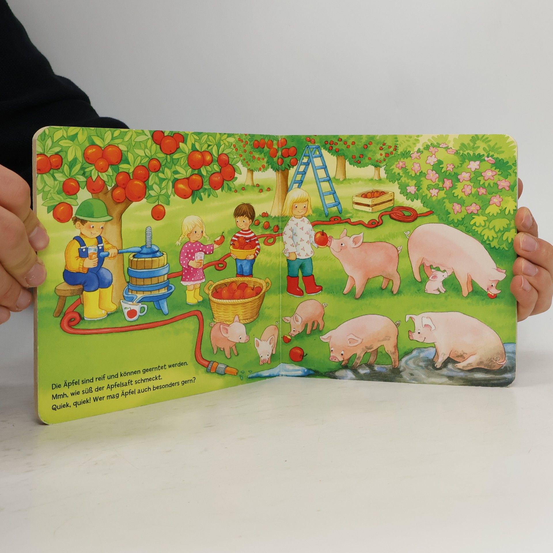Florian Ahle Mein erstes Bauernhofbuch