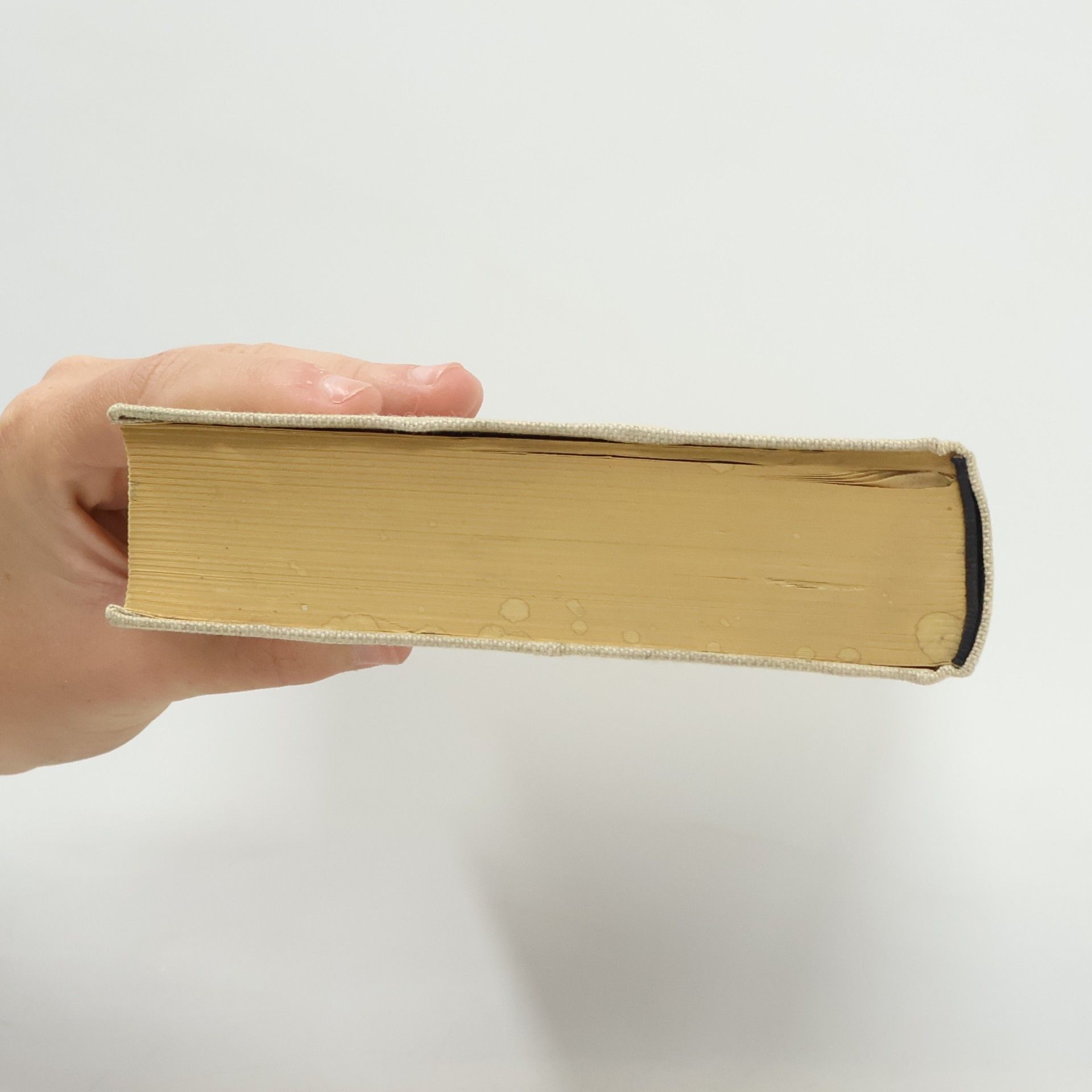 Hannah Arendt Über die Revolution