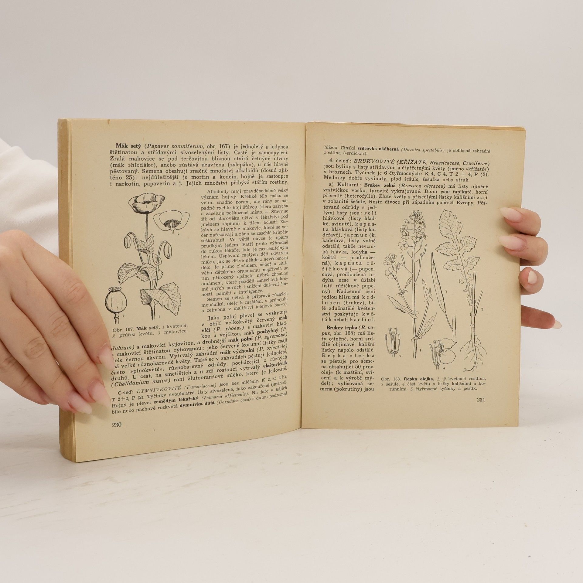 Autorenkollektiv Biologie – část rostlinná pro zemědělské technické školy