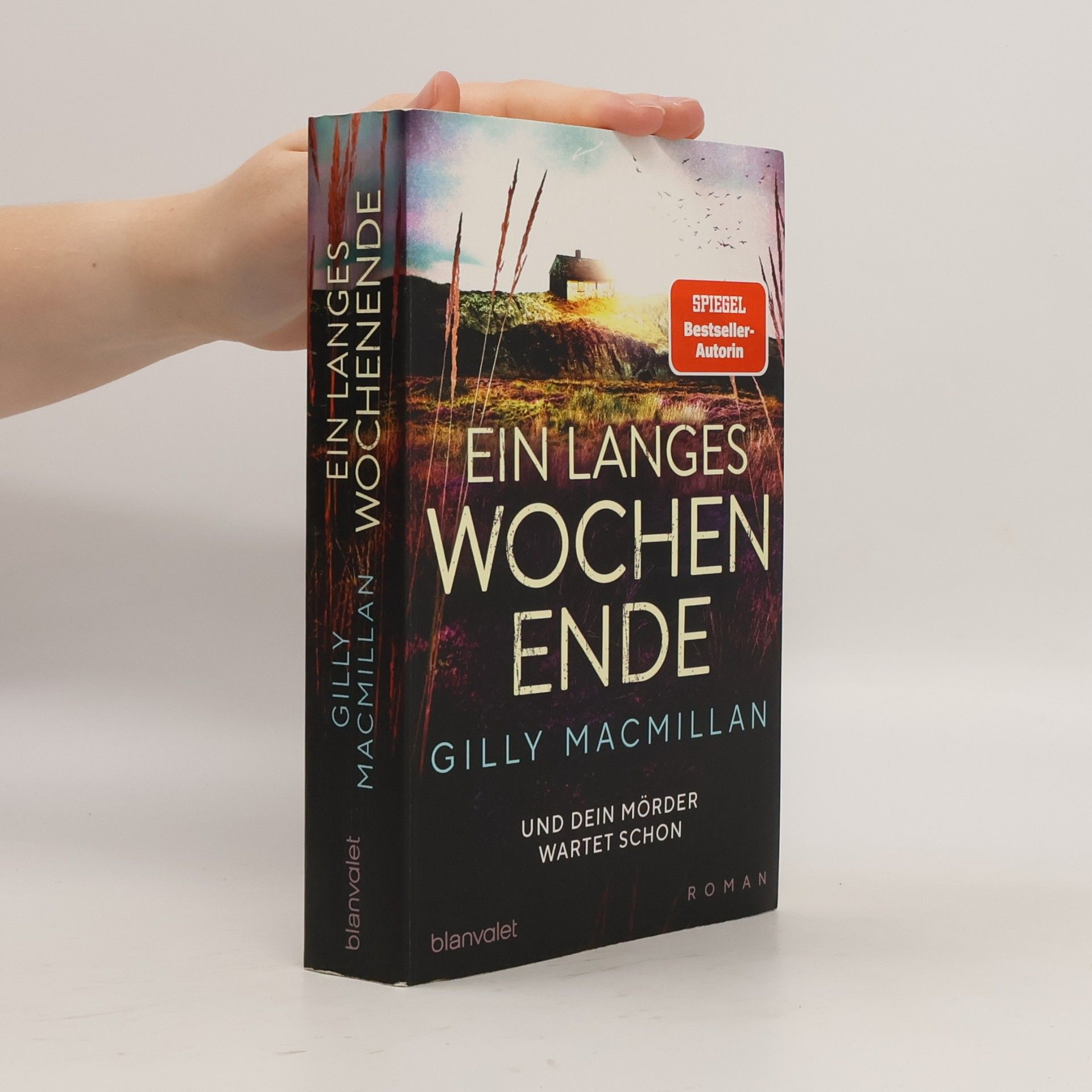Gilly Macmillan Ein langes Wochenende