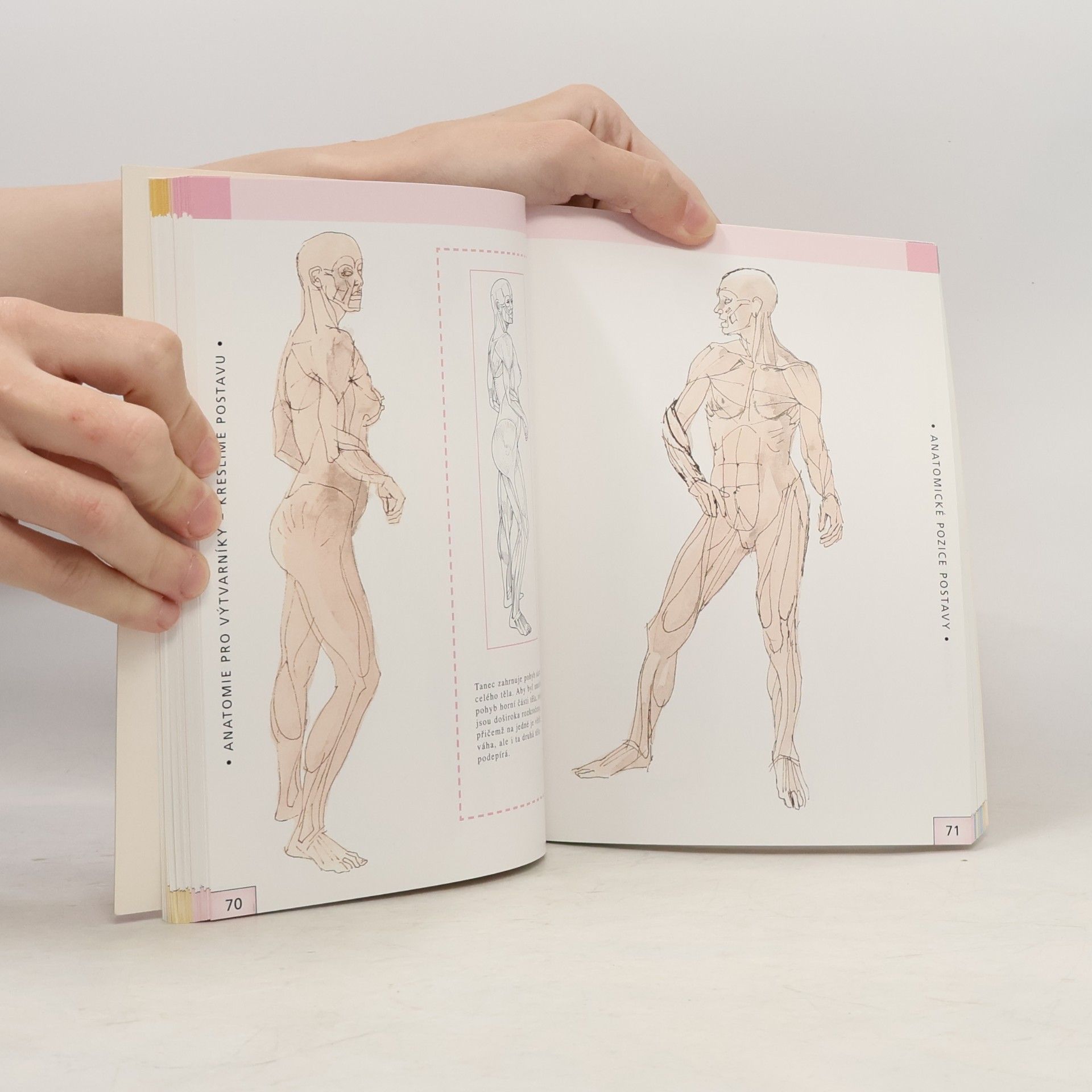 Various authors Anatomie pro výtvarníky: Kreslíme postavu