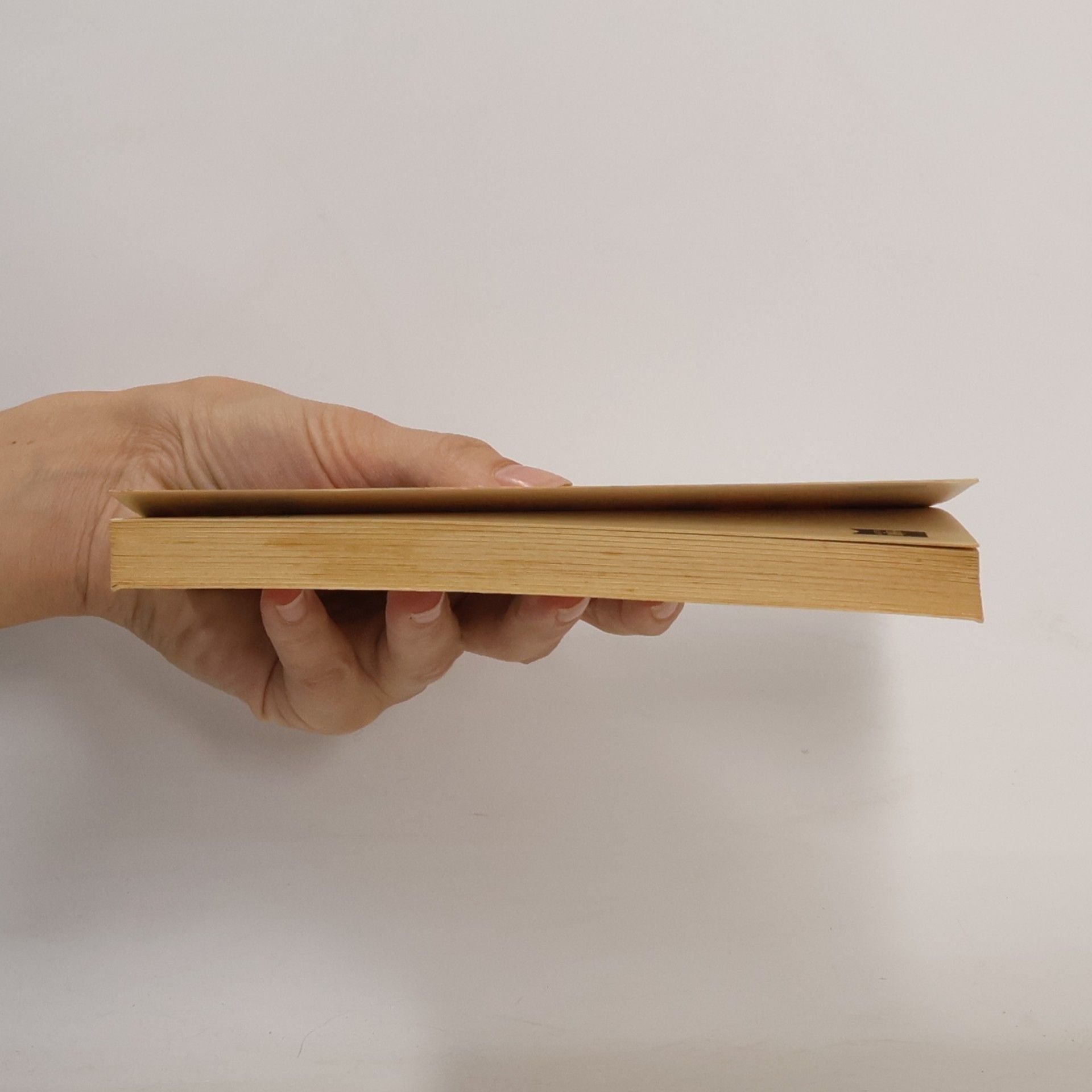 Autores varios Die Suche nach Zei