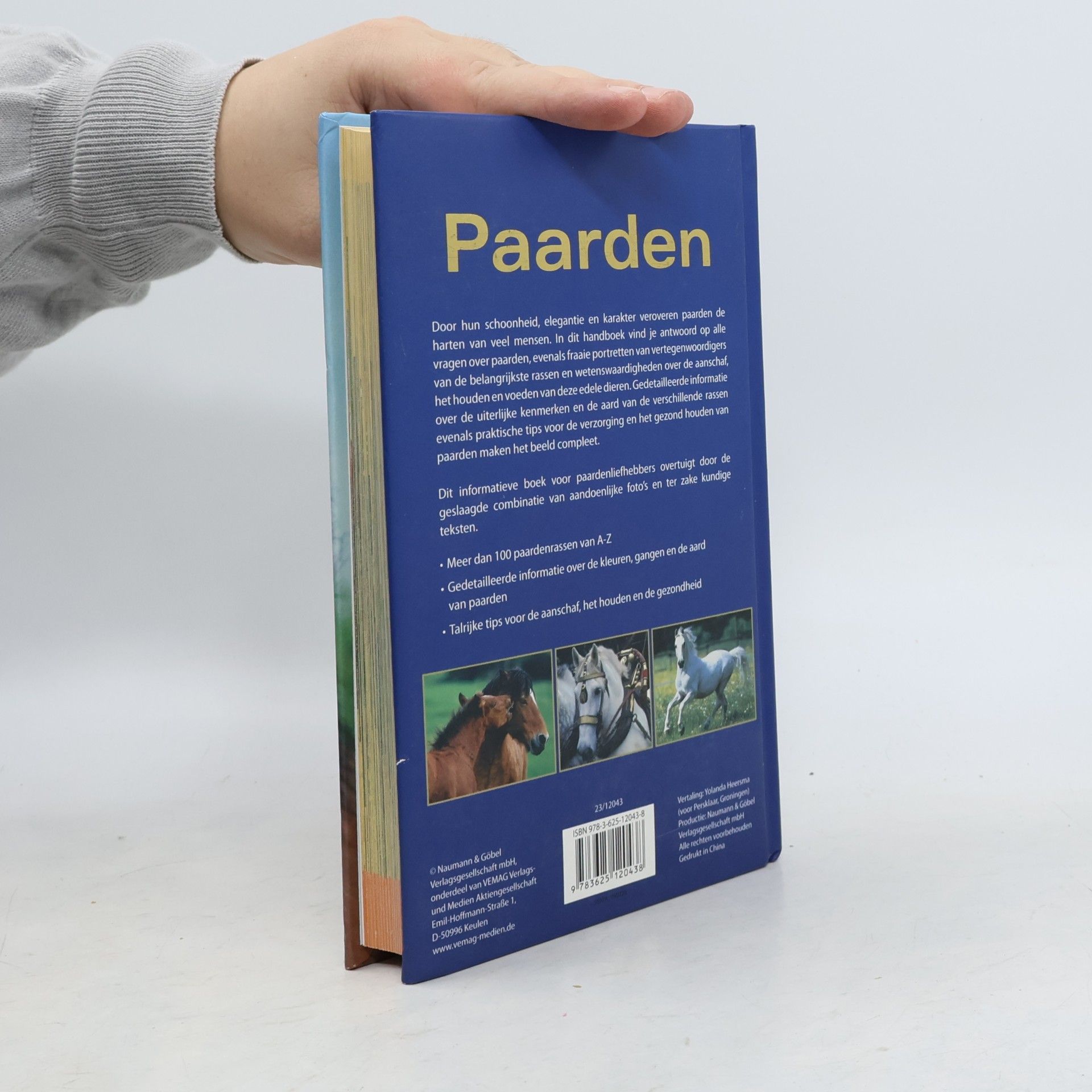 Pferde