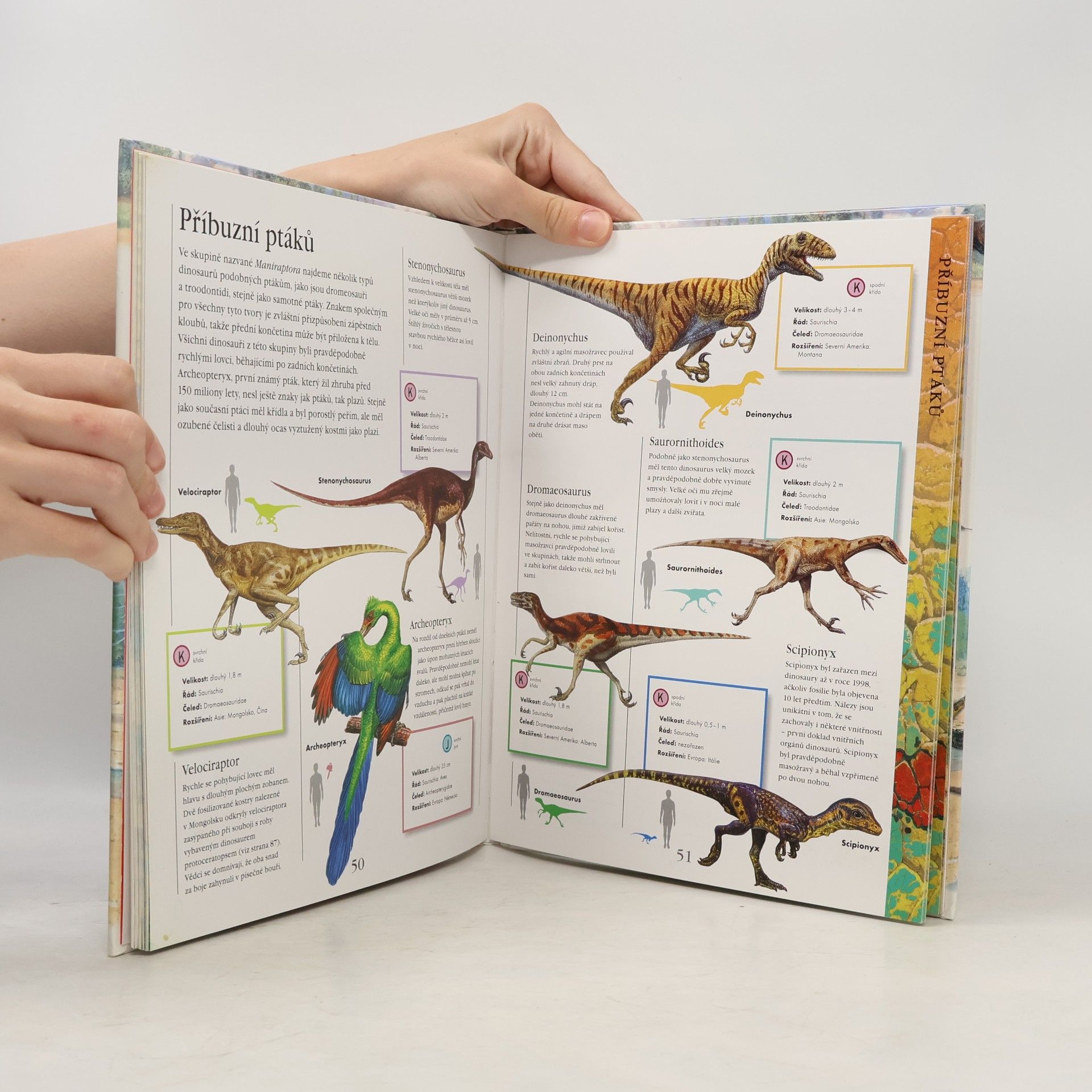 Jinny Johnson Dinosauři