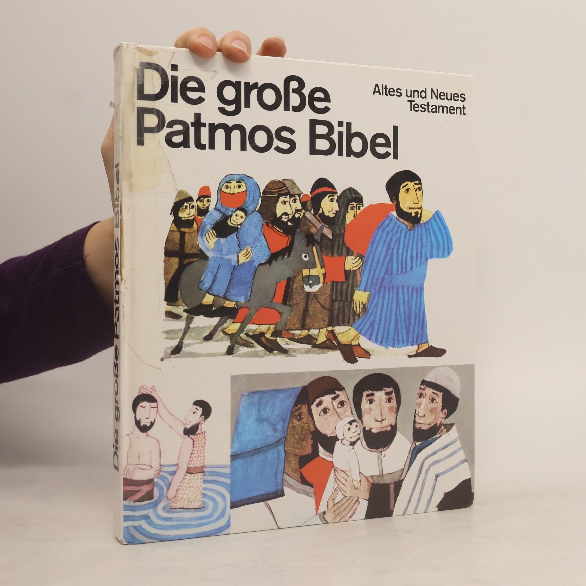Die grosse Patmos Bibel. Altes und Neues Testament. Für die Jugend erzählt