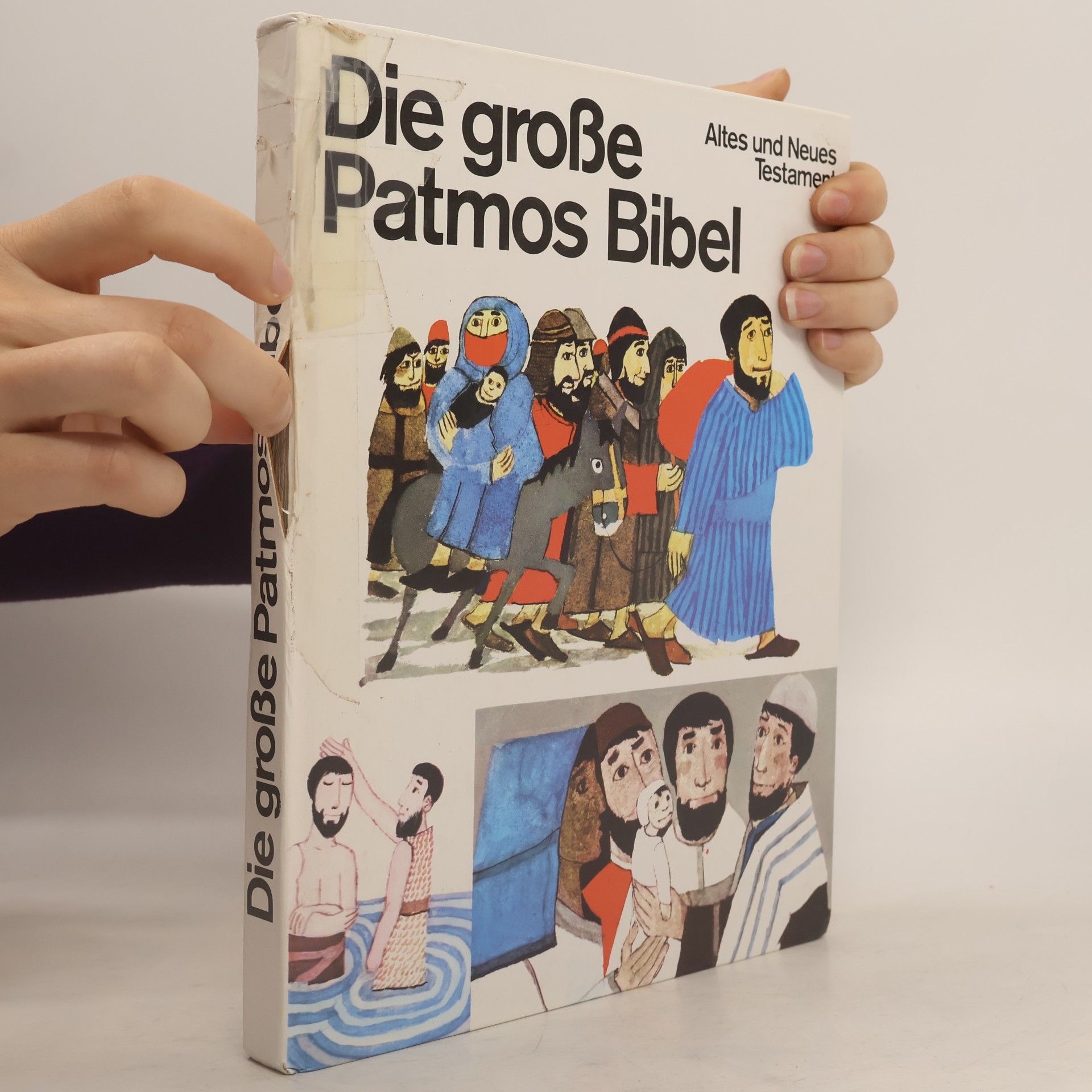 August M. Cocagnac Die grosse Patmos Bibel. Altes und Neues Testament. Für die Jugend erzählt