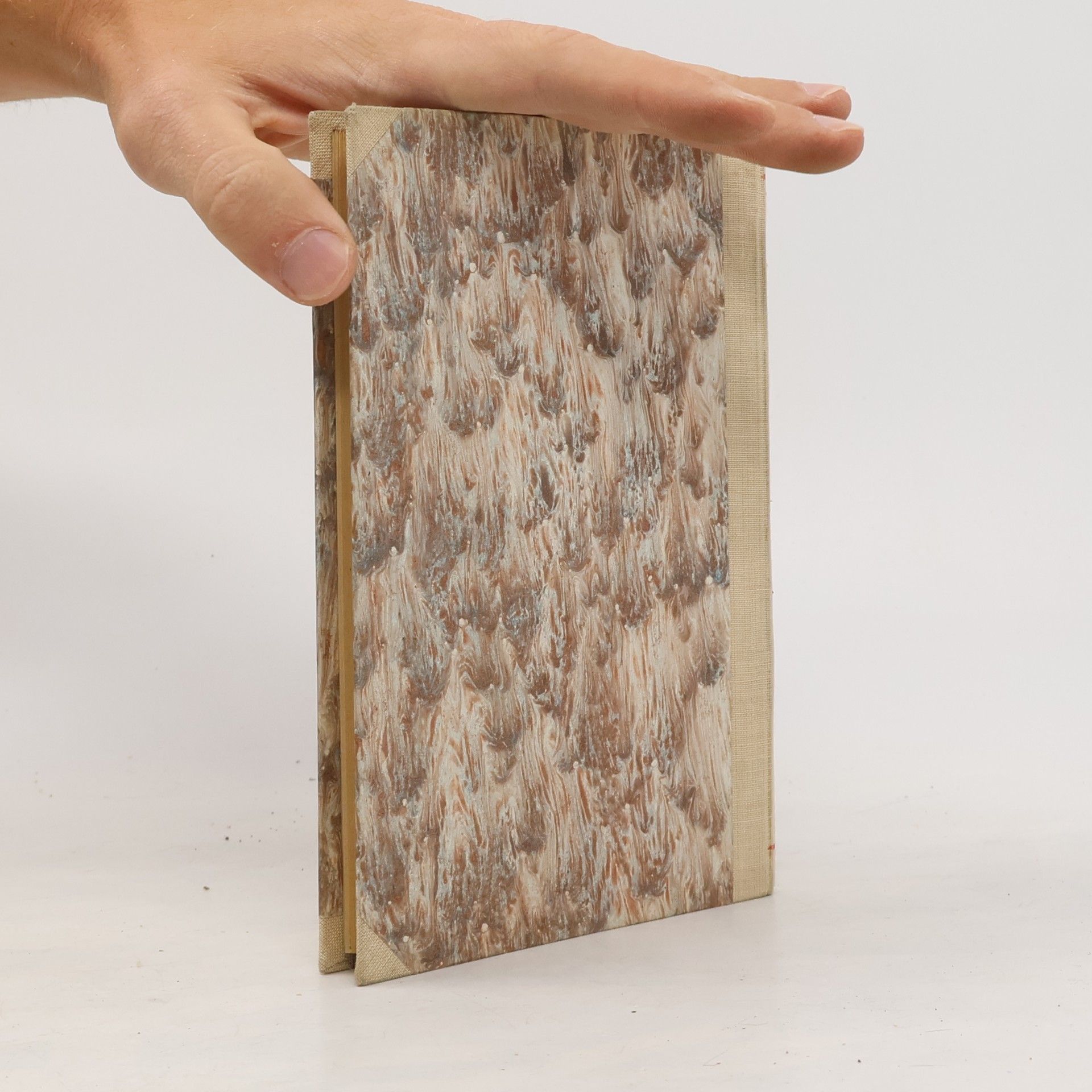 Lew Nikolajewitsch Tolstoi Statkářovo jitro