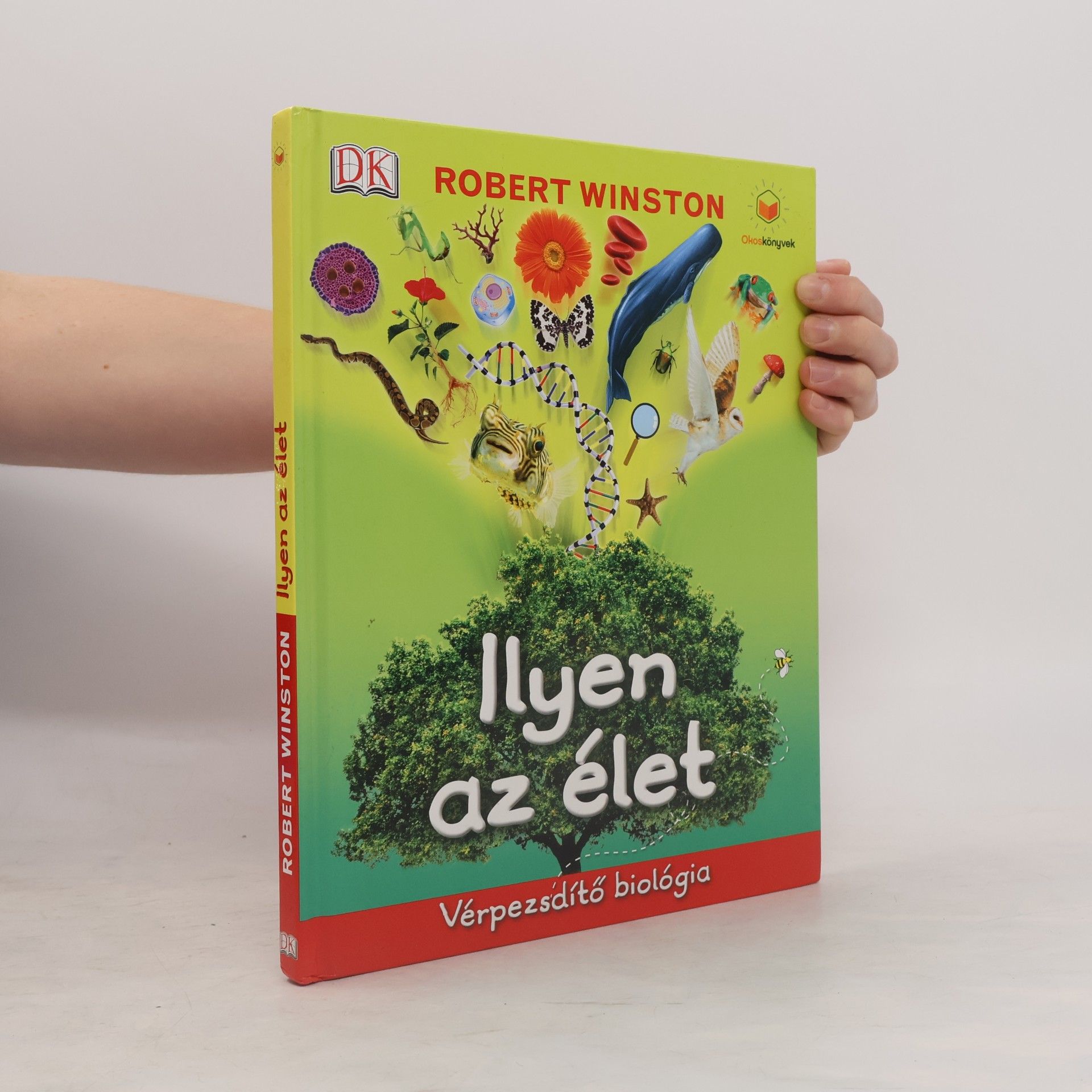 Ilyen az élet