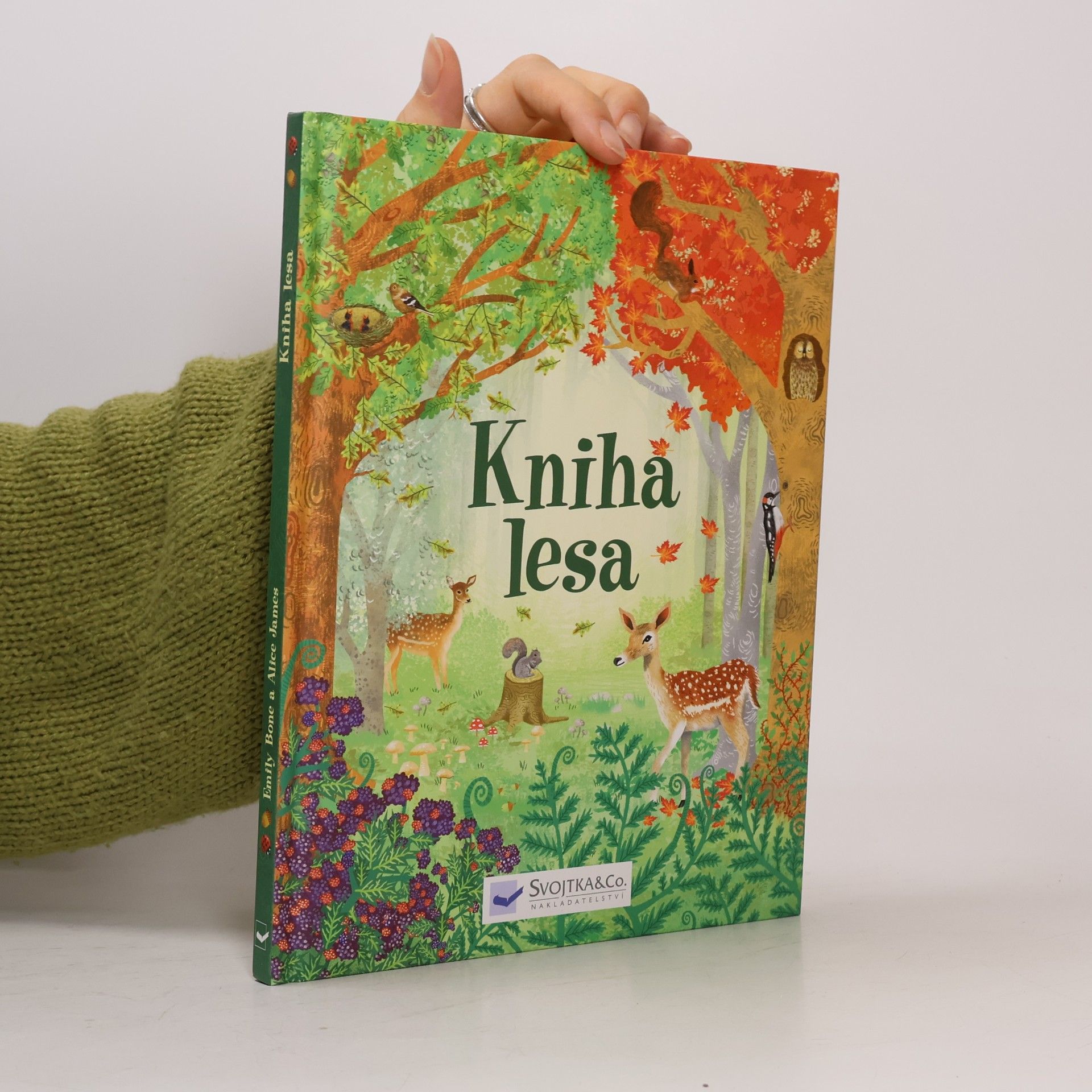 kolektiv Kniha lesa
