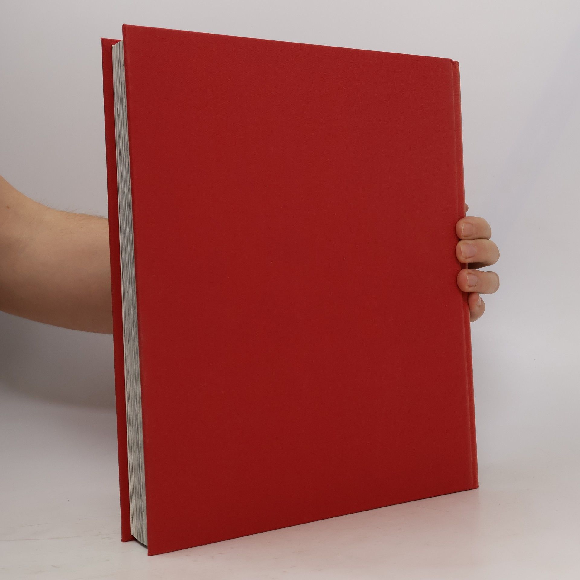 Various authors Die großen Kathedralen