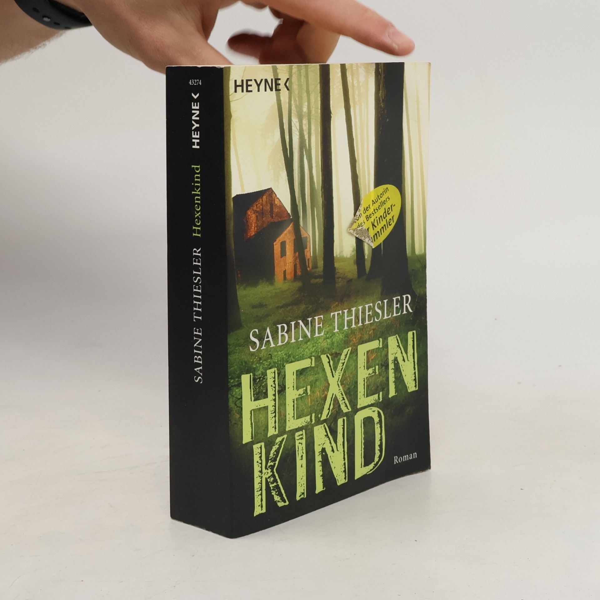 Sabine Thiesler Hexenkind - Roman