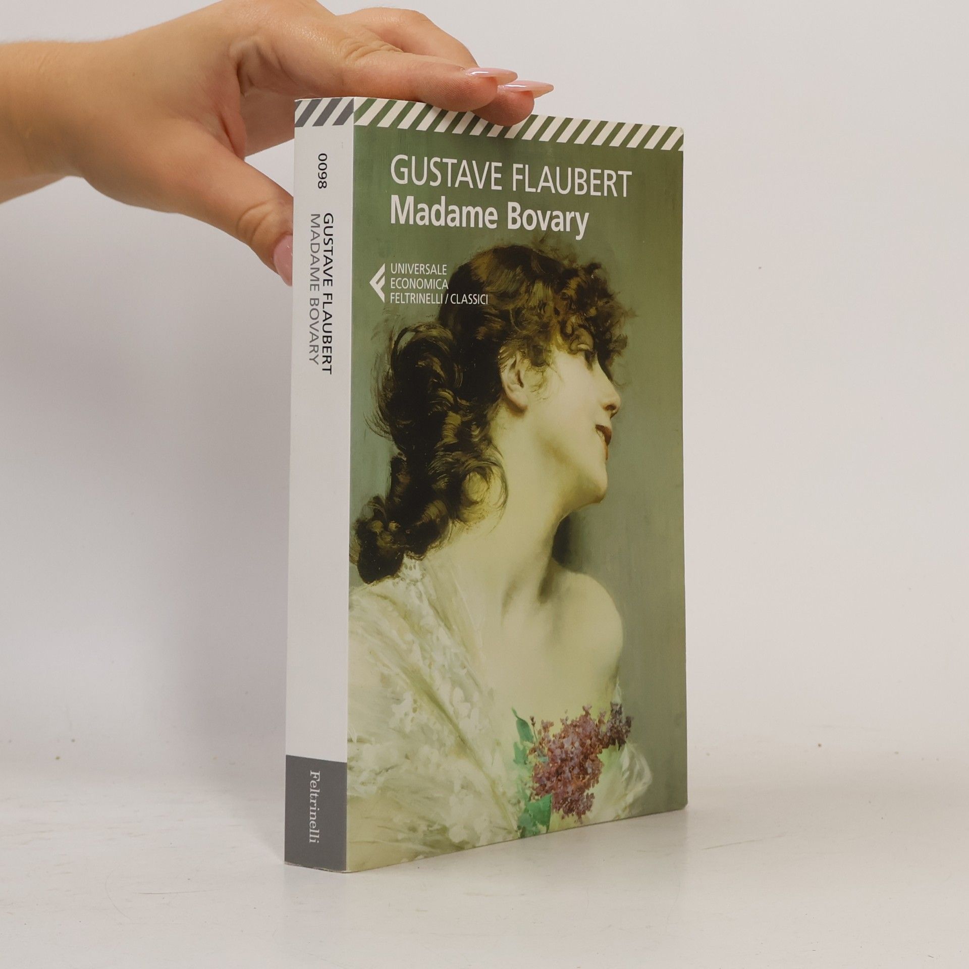 Gustave Flaubert Madame Bovary
