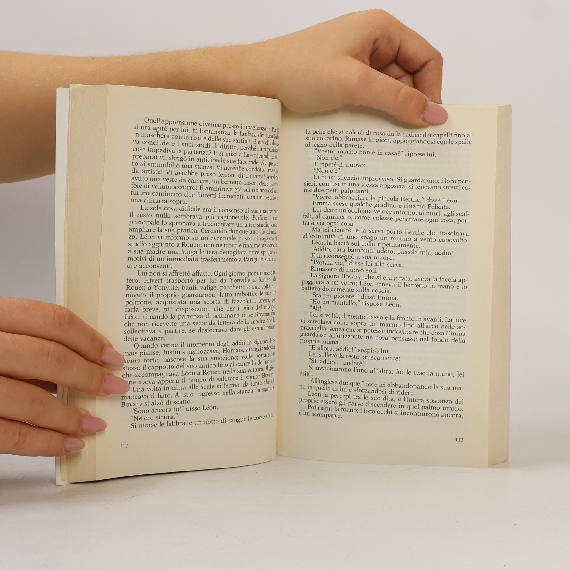 Gustave Flaubert Madame Bovary