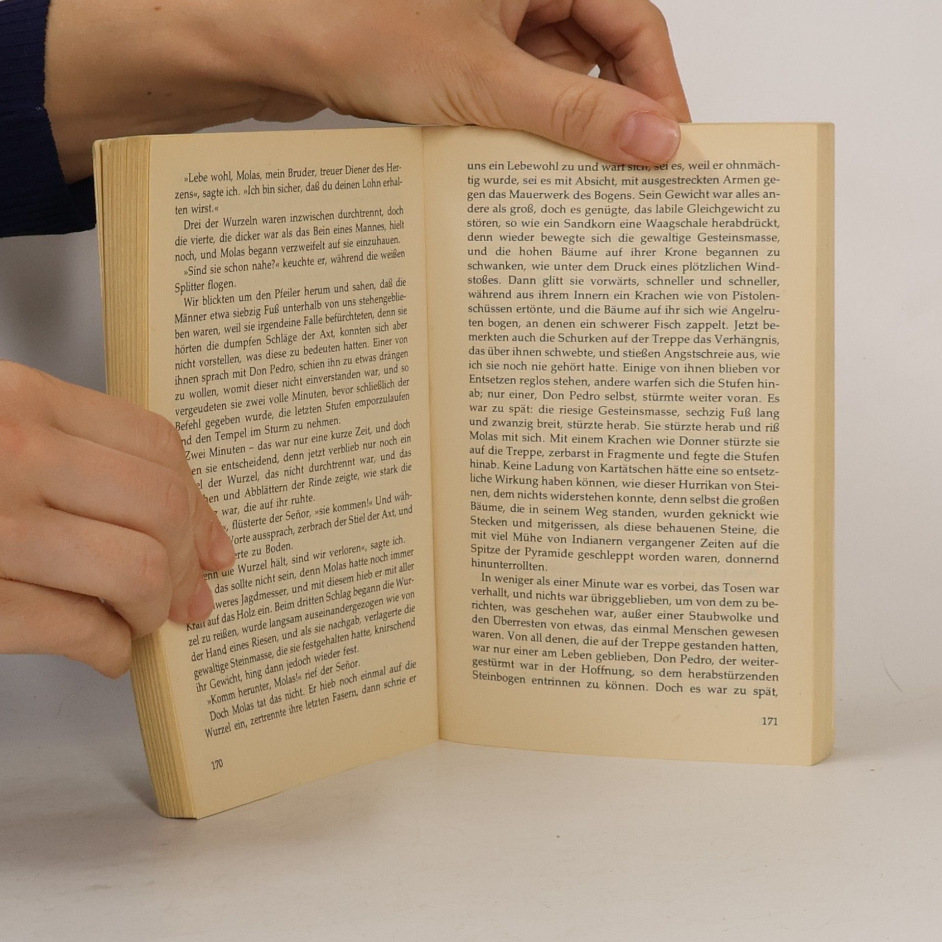 H. Rider Haggard Das Herz der Welt