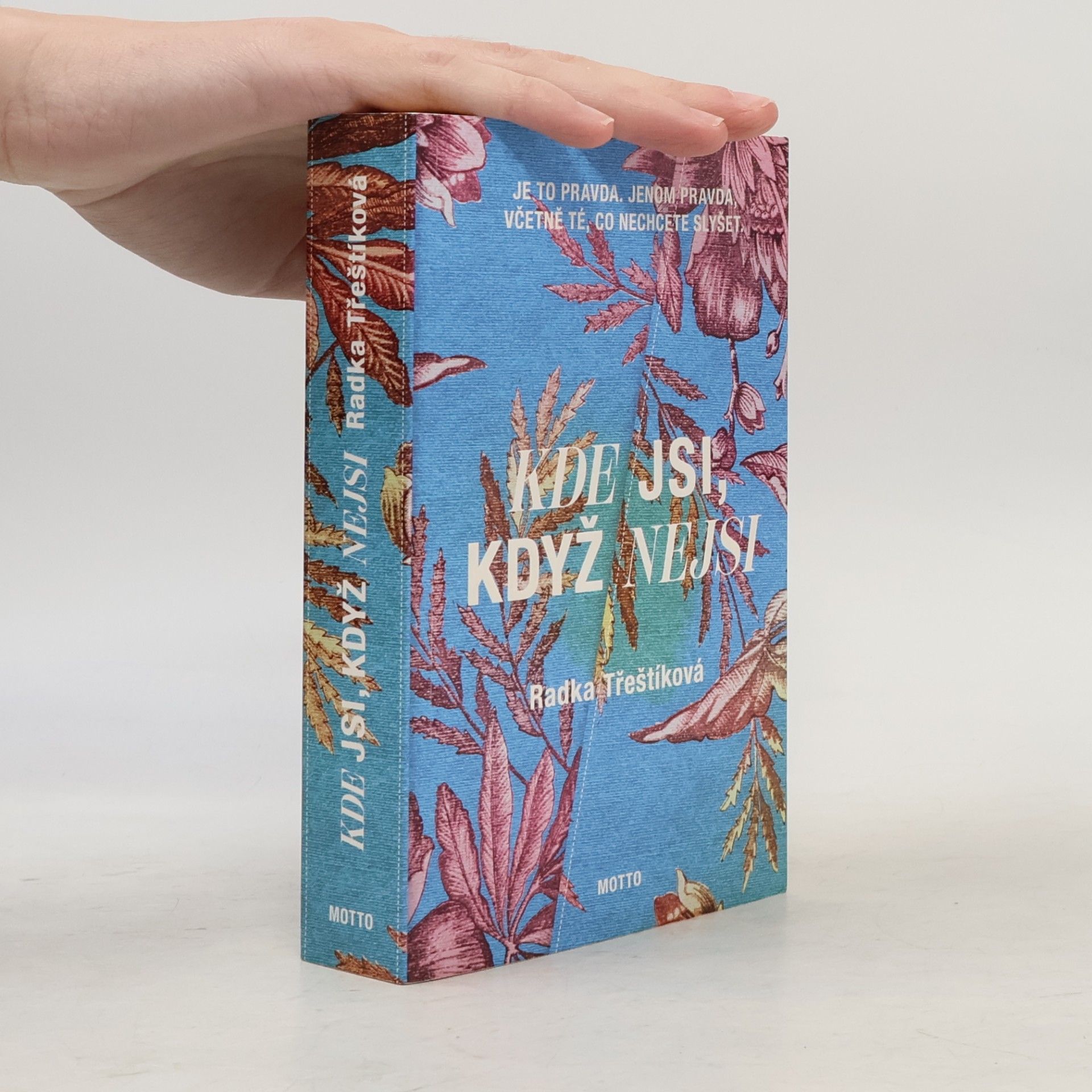 Radka Třeštíková Kde jsi, když nejsi