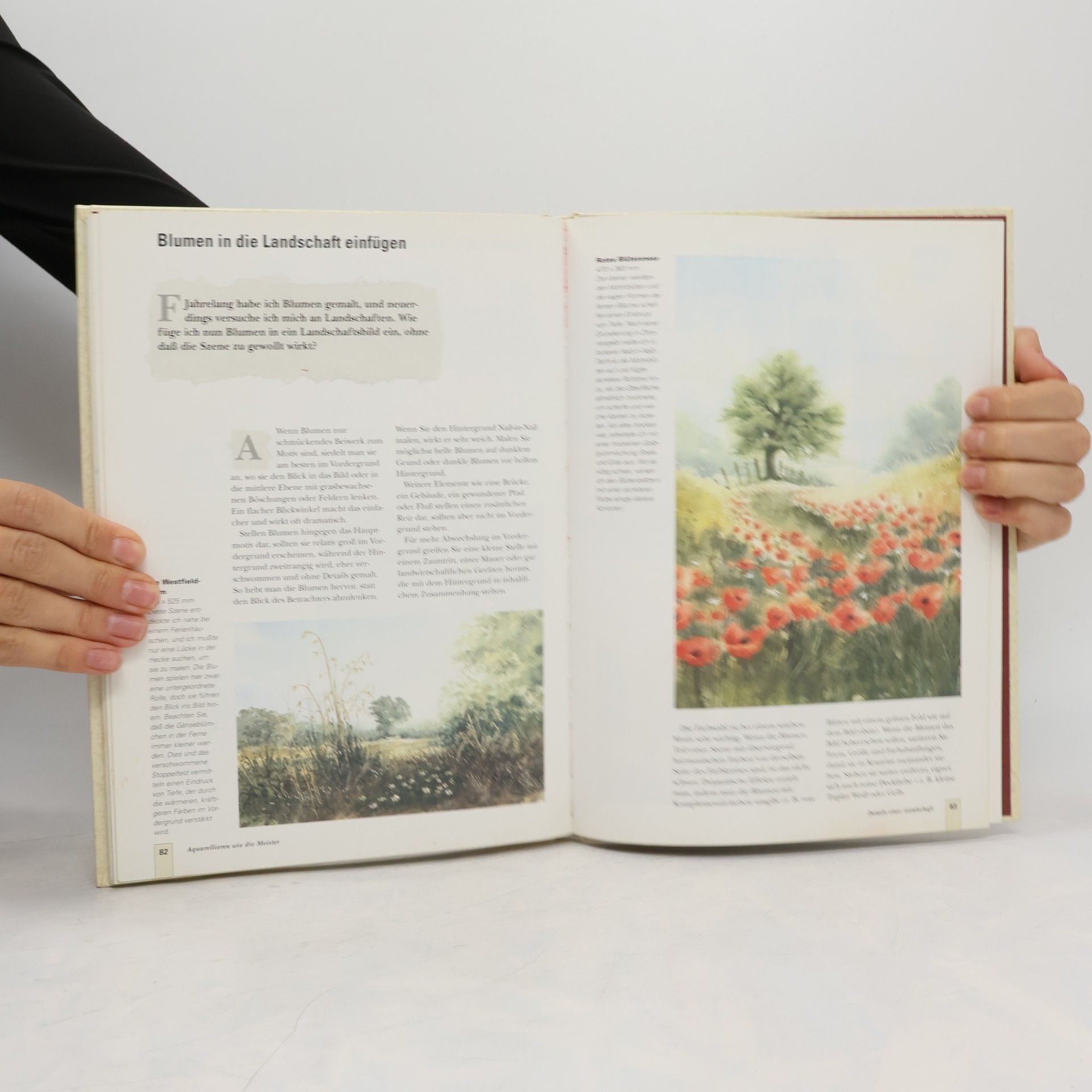 Don Harrison Aquarellieren wie die Meister