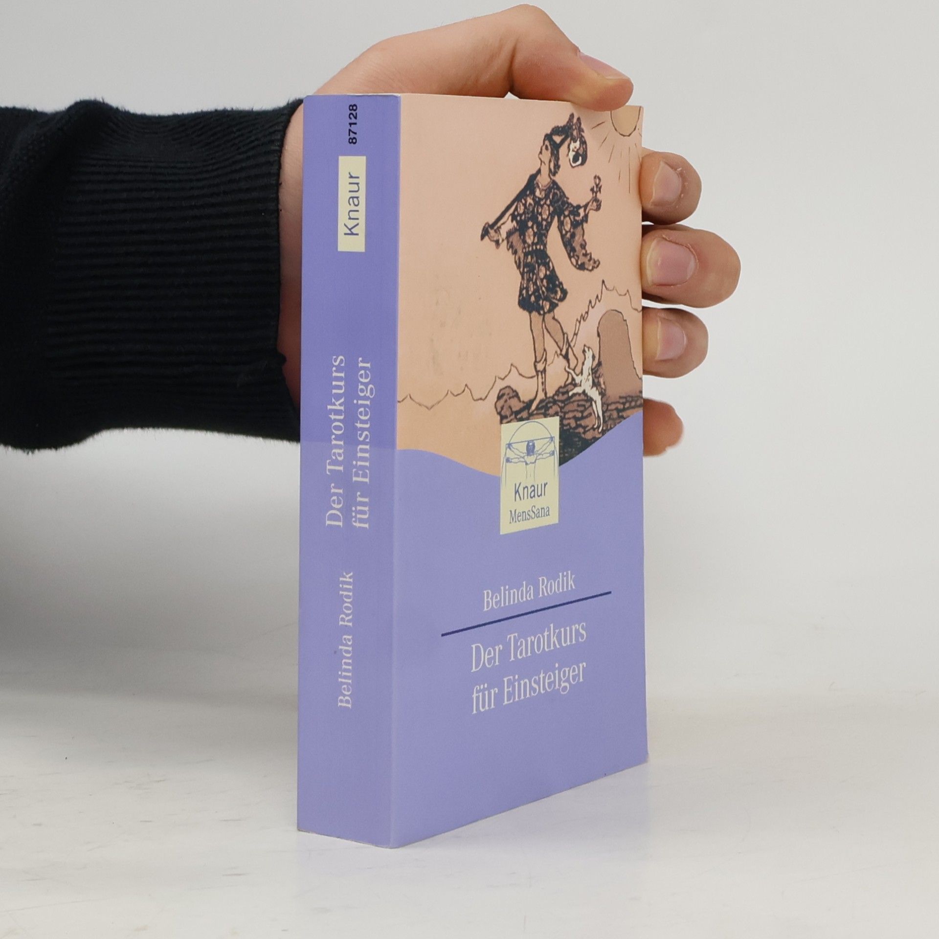 Belinda Rodik Der Tarotkurs für Einsteiger