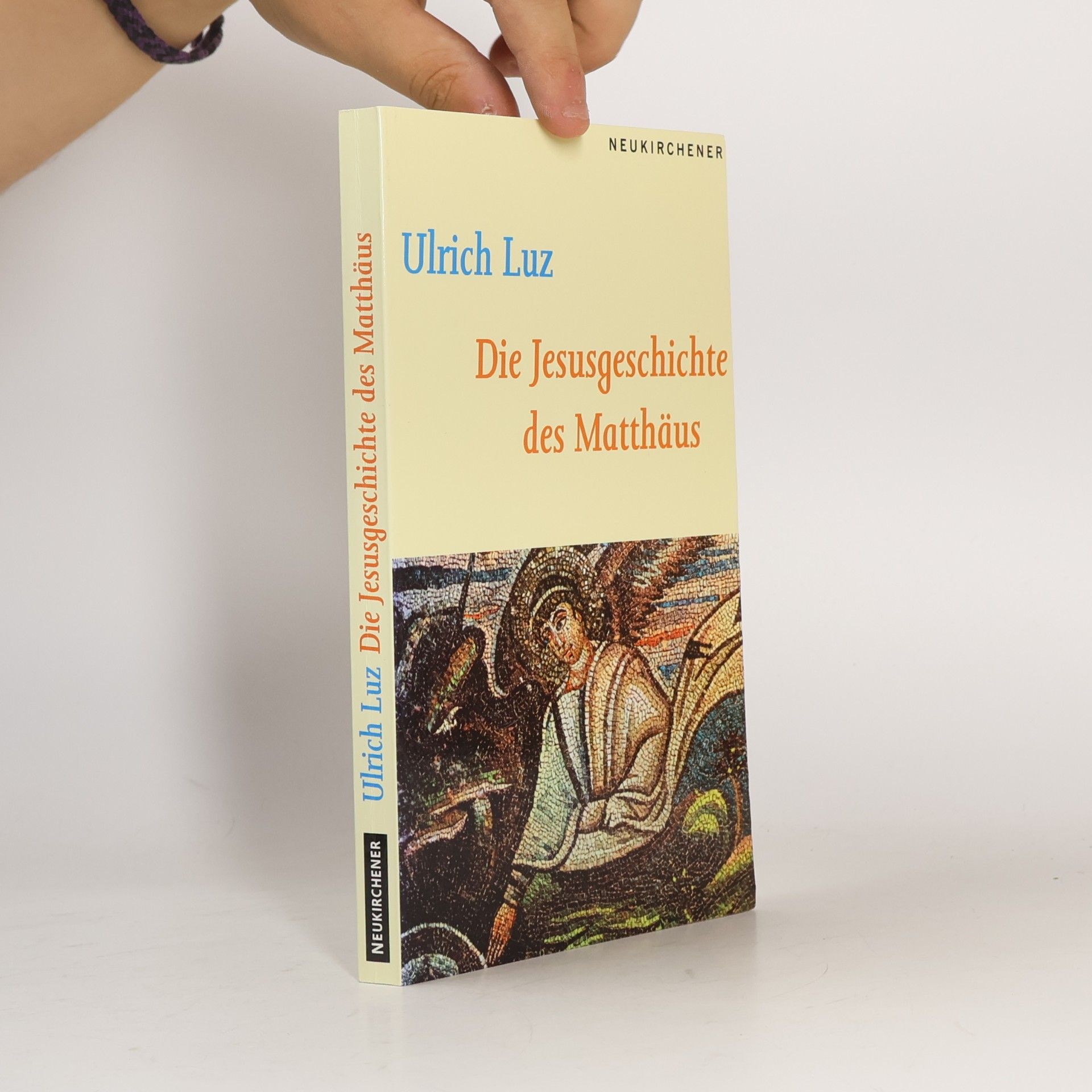 Ulrich Luz Die Jesusgeschichte des Matthäus