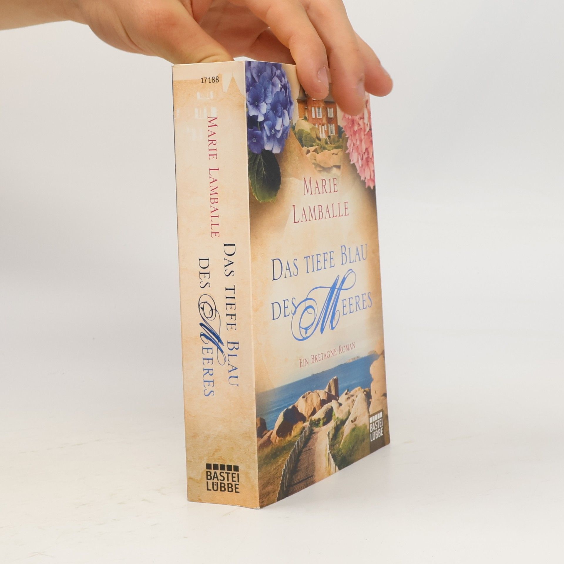 Anne Jacobs Das tiefe Blau des Meeres