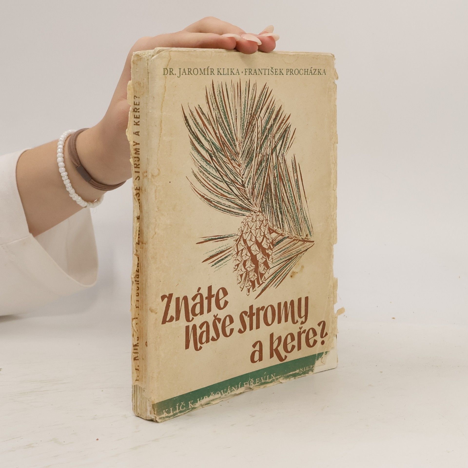 Znáte naše stromy a keře?
