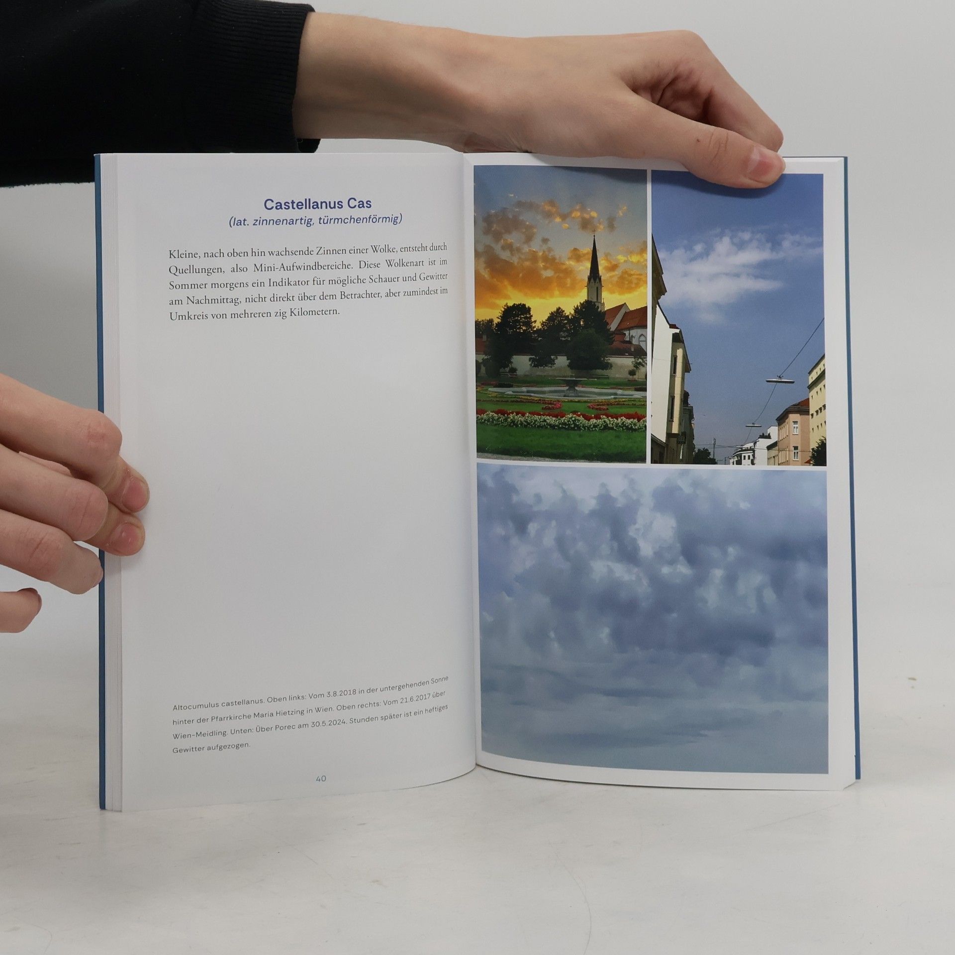 Sigi Fink Wolken deuten - Von Arcus bis Volutus