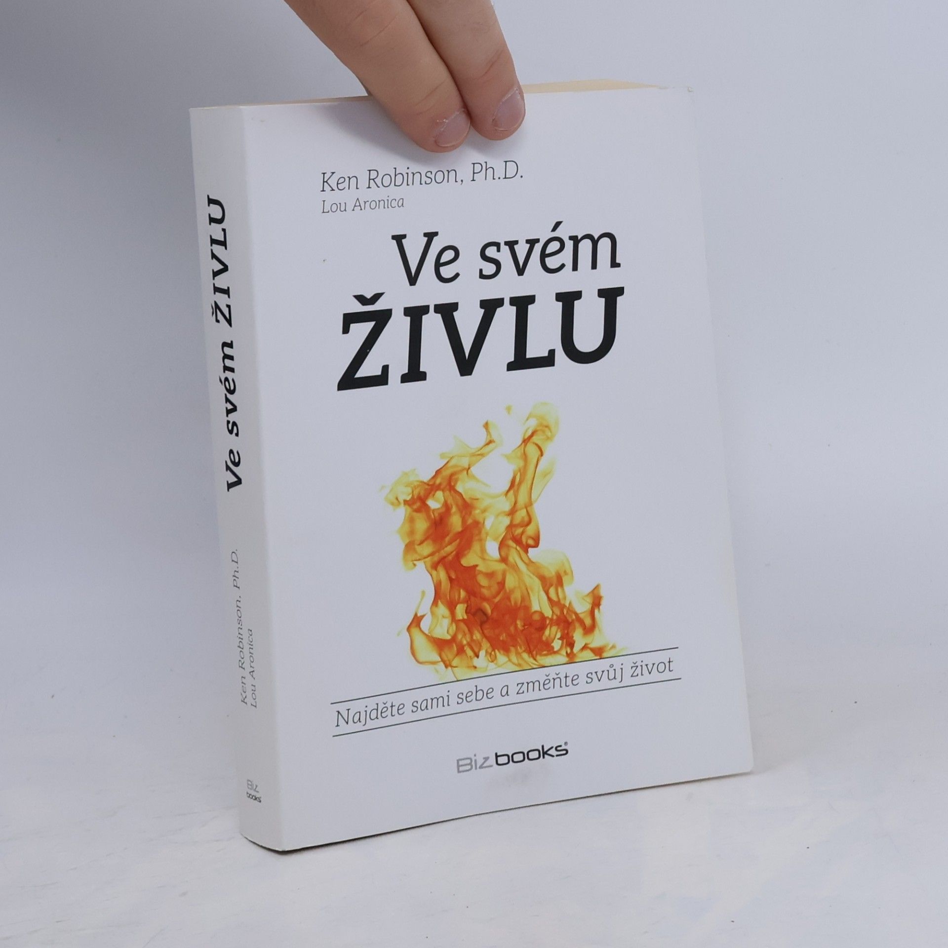 Ken Robinson Ve svém živlu. Najděte sami sebe a změňte svůj život