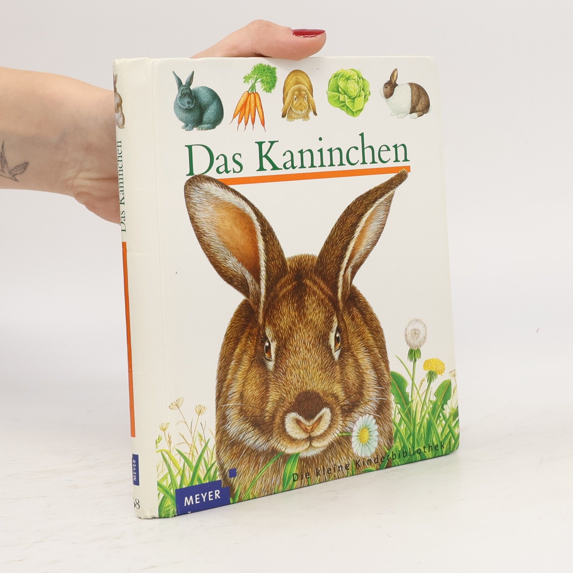 Pierre de Hugo Das Kaninchen