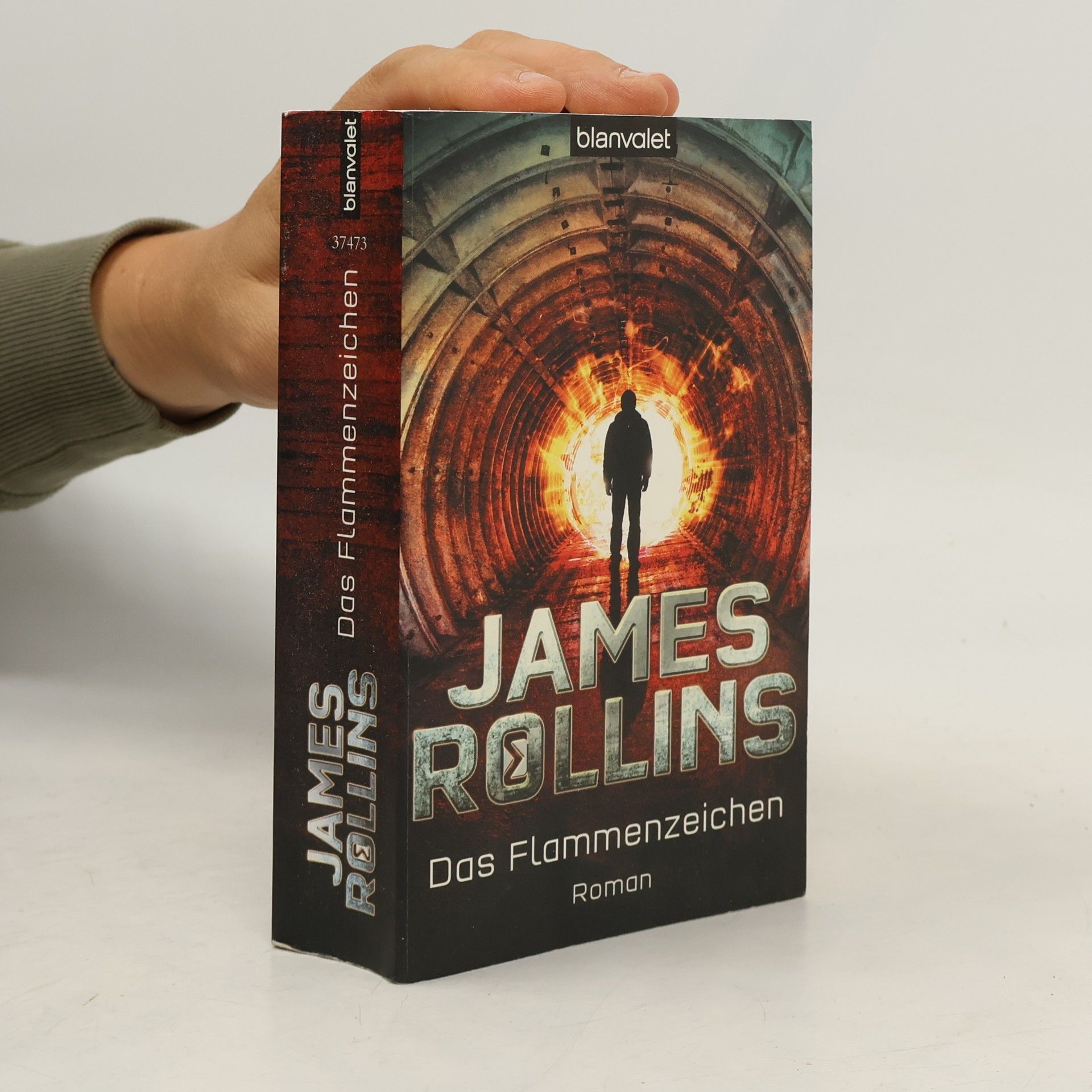 James Rollins Das Flammenzeichen