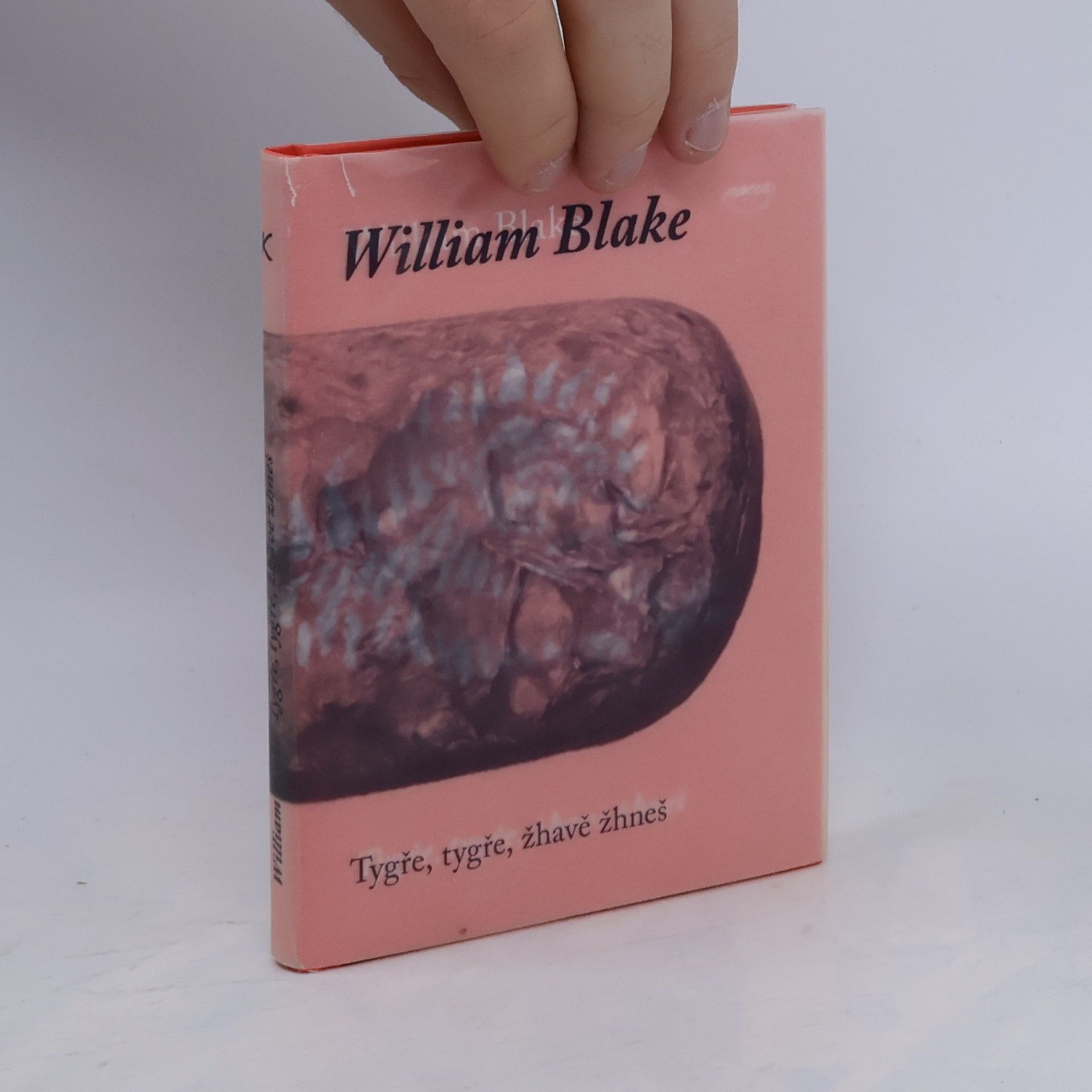 William Blake Tygře, tygře, žhavě žhneš