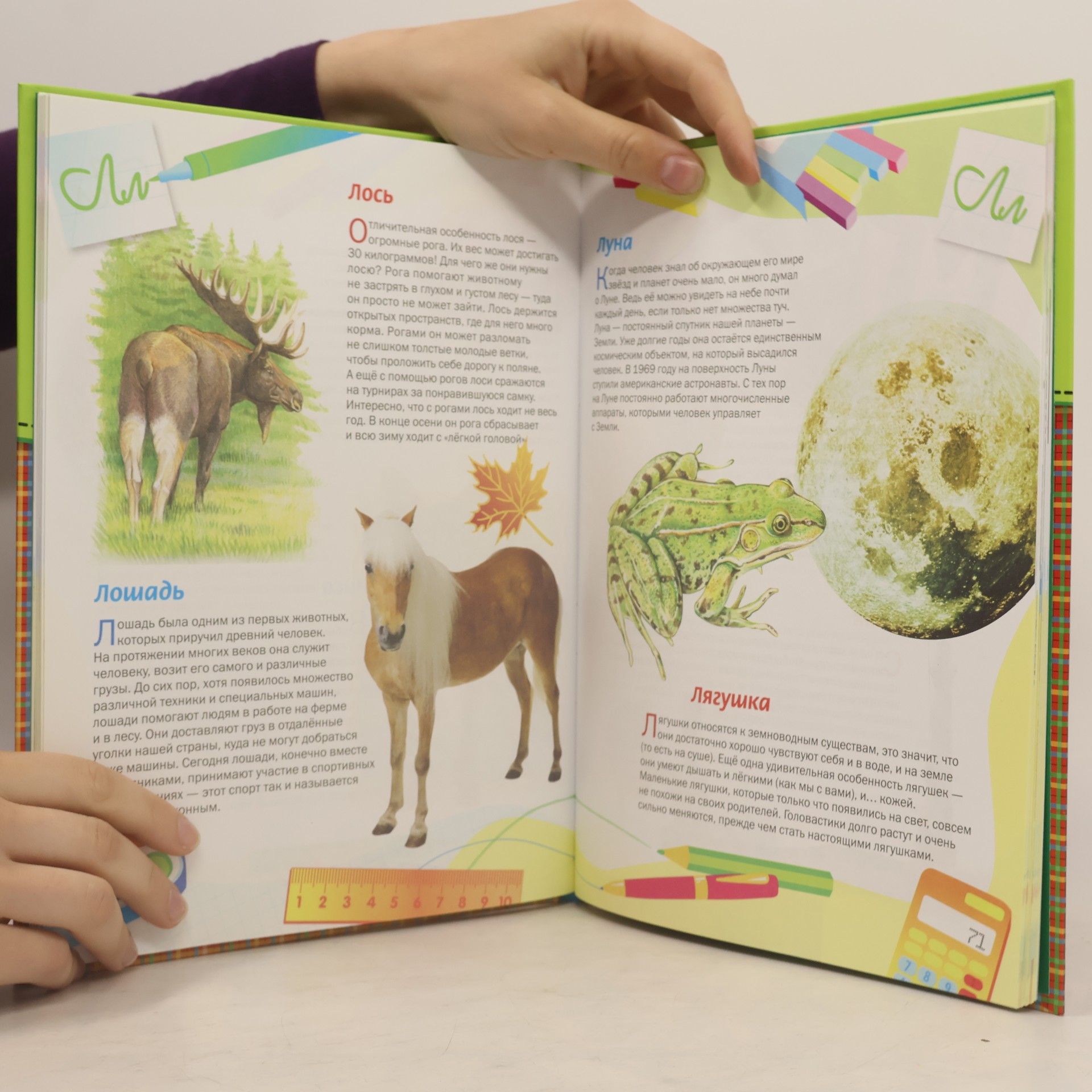 Golubeva E L 7 Encyclopedia graders 7 Entsiklopediya pervoklassnika