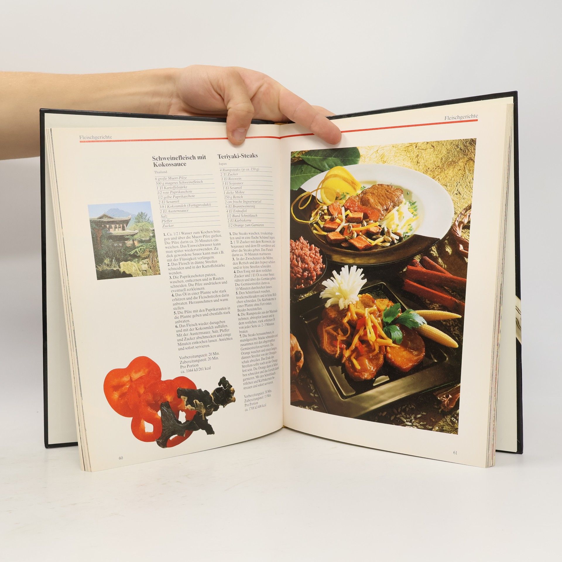 Das grosse Asien-Kochbuch
