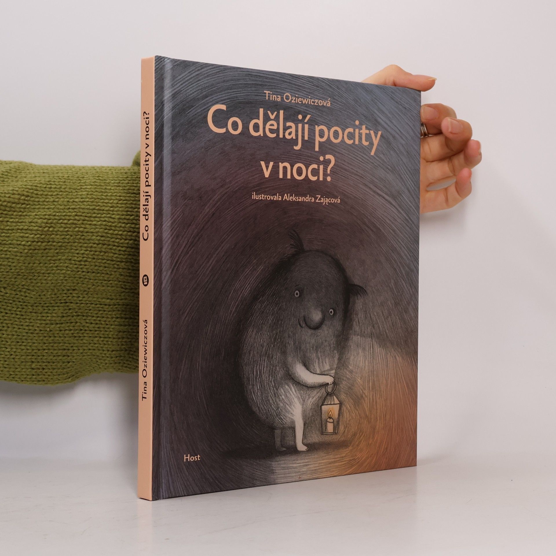 Aleksandra Zając Co dělají pocity v noci?