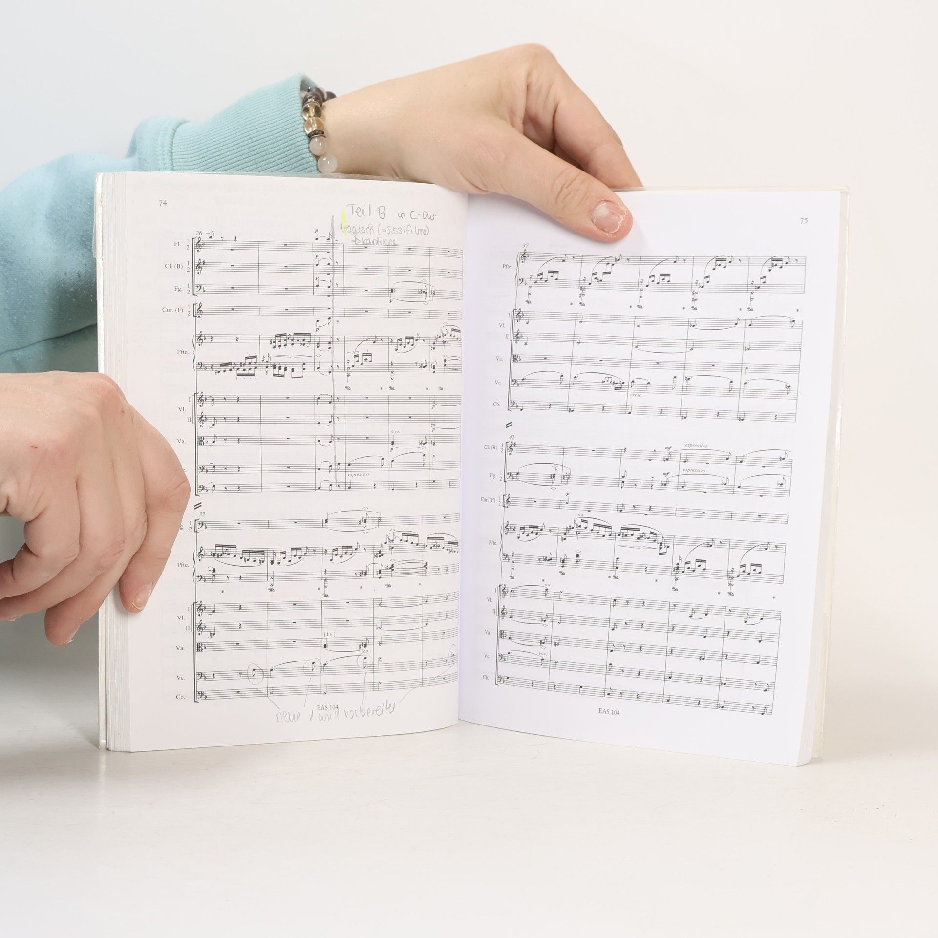 Franz Ruckert Piano Concerto in A Minor Op. 54