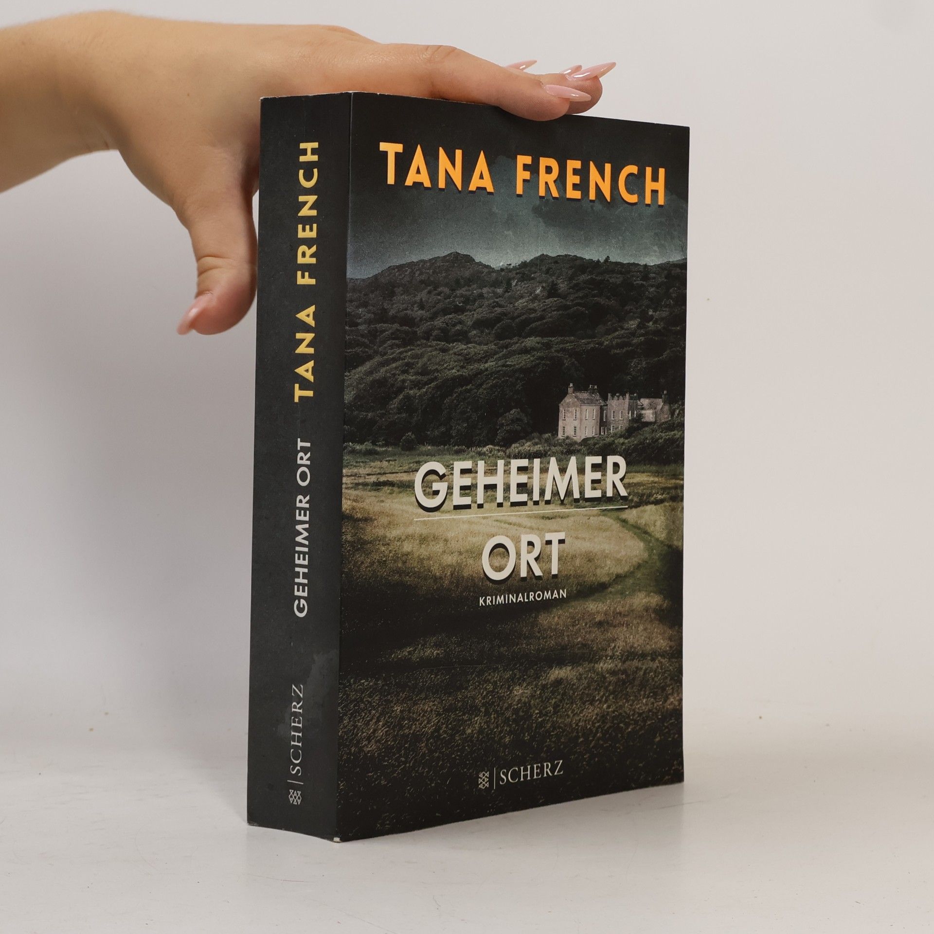 Tana French Geheimer Ort